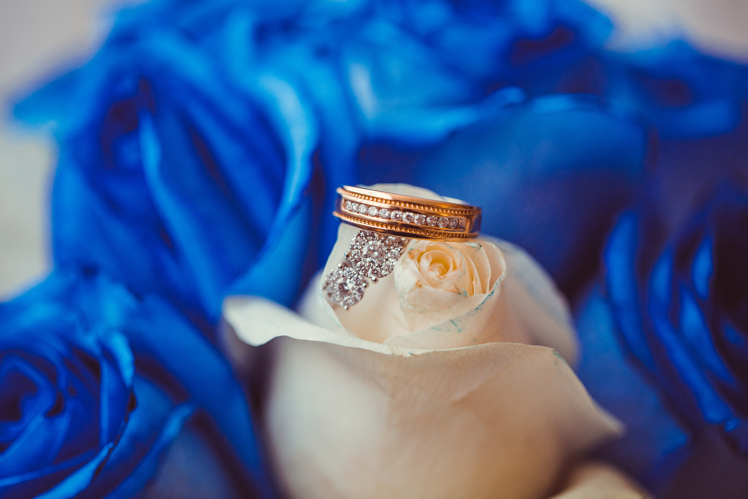 Events Photography Packages. Pet, Senior, Landscape, portrait studio, photographer in Miami and Sou