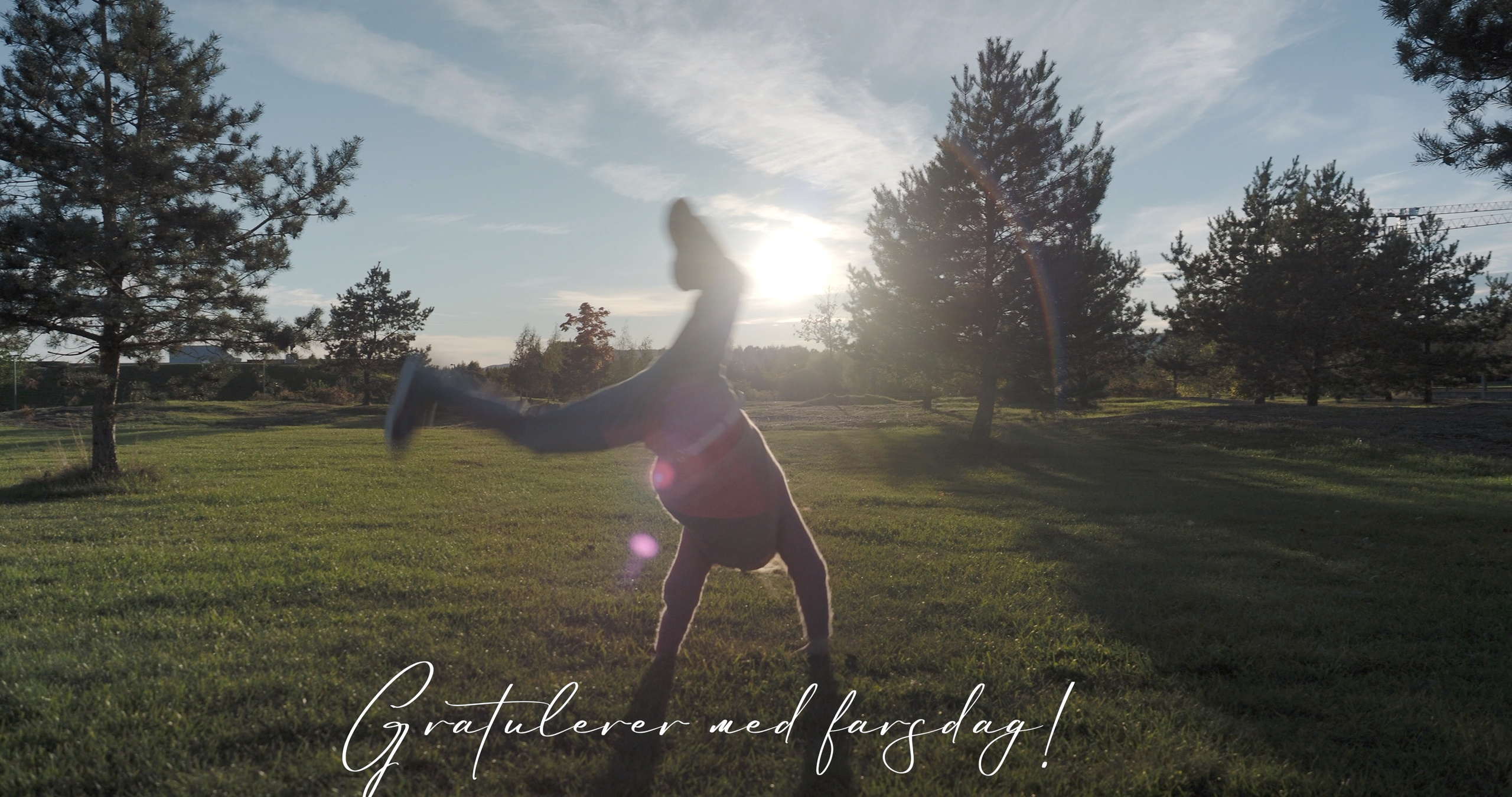 Pris og vilkår. Videograf Oslo Norway