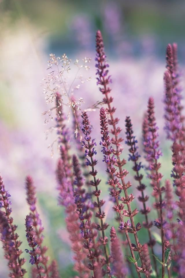 Стоимость. Фотографы Дарья и Дмитрий Арсентьевы