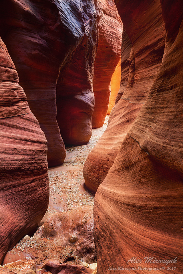 Recommended Equipment. Pet, Senior, Landscape, portrait studio, photographer in Miami and Sou