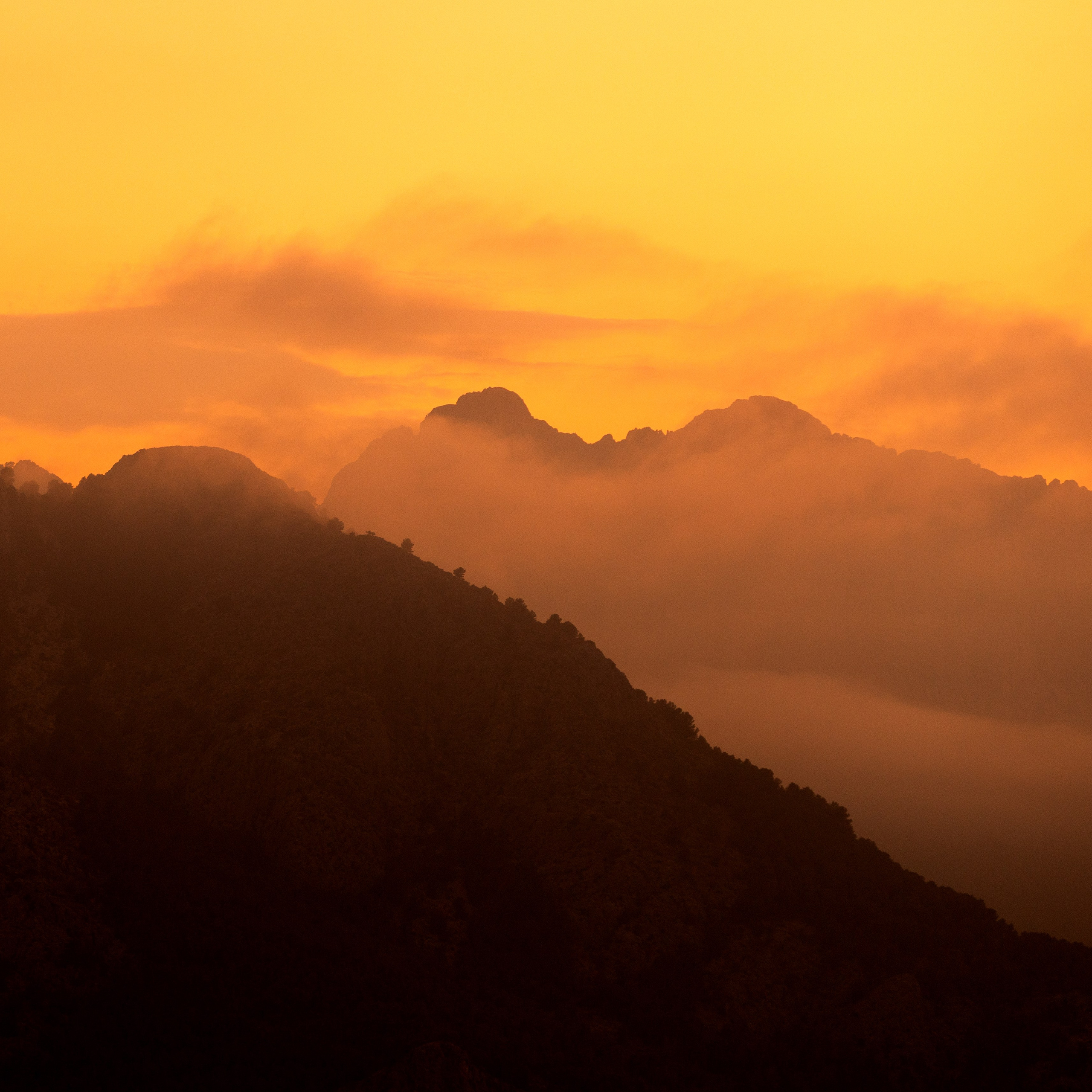 Associaciò cultural La Granja Alcoy España