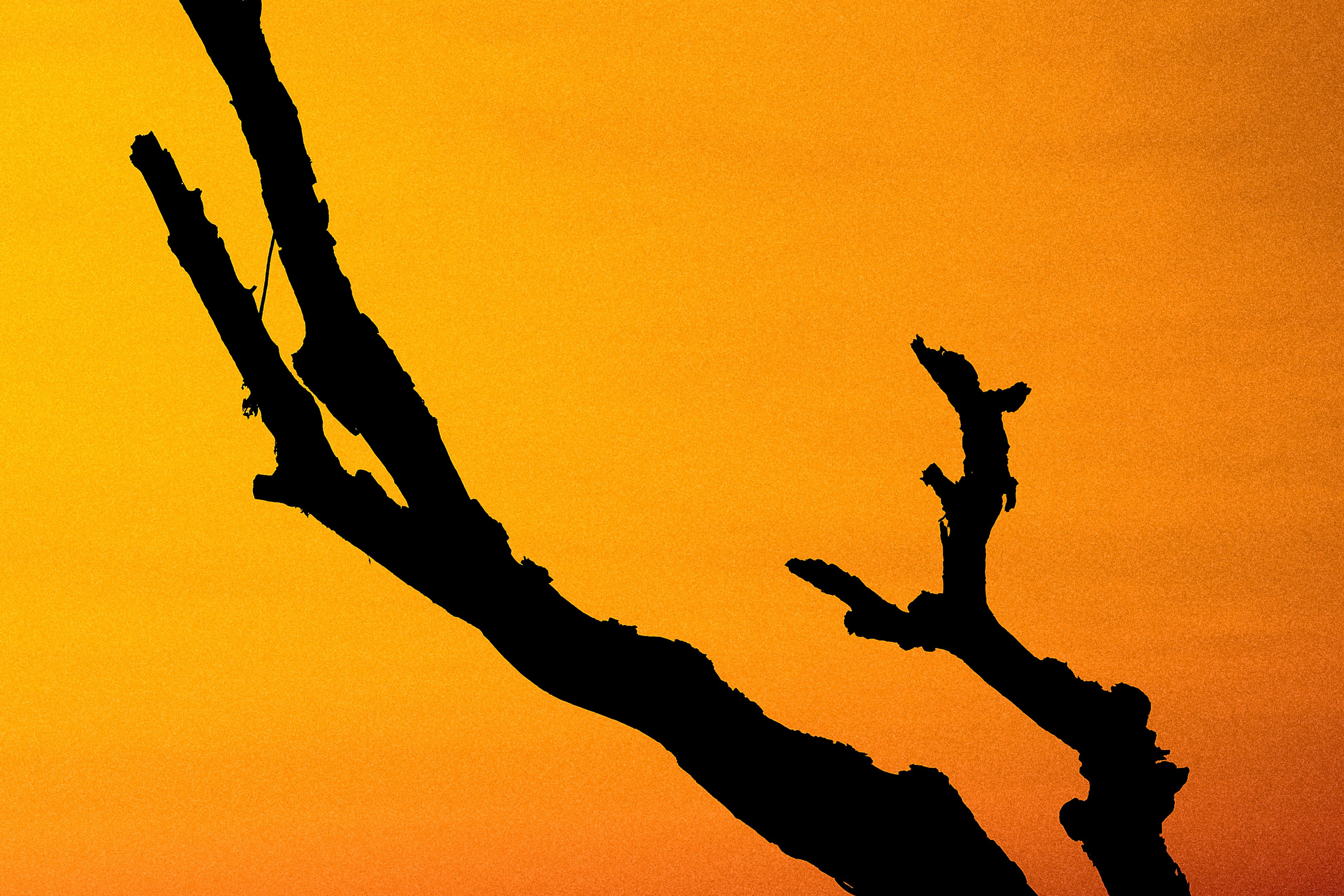 Echolith. Nature art photography by Petr Nabutov