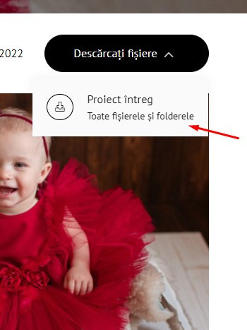 Cum se descarcă fotografiile?. Fotograf de familie și copii în Republica Moldova