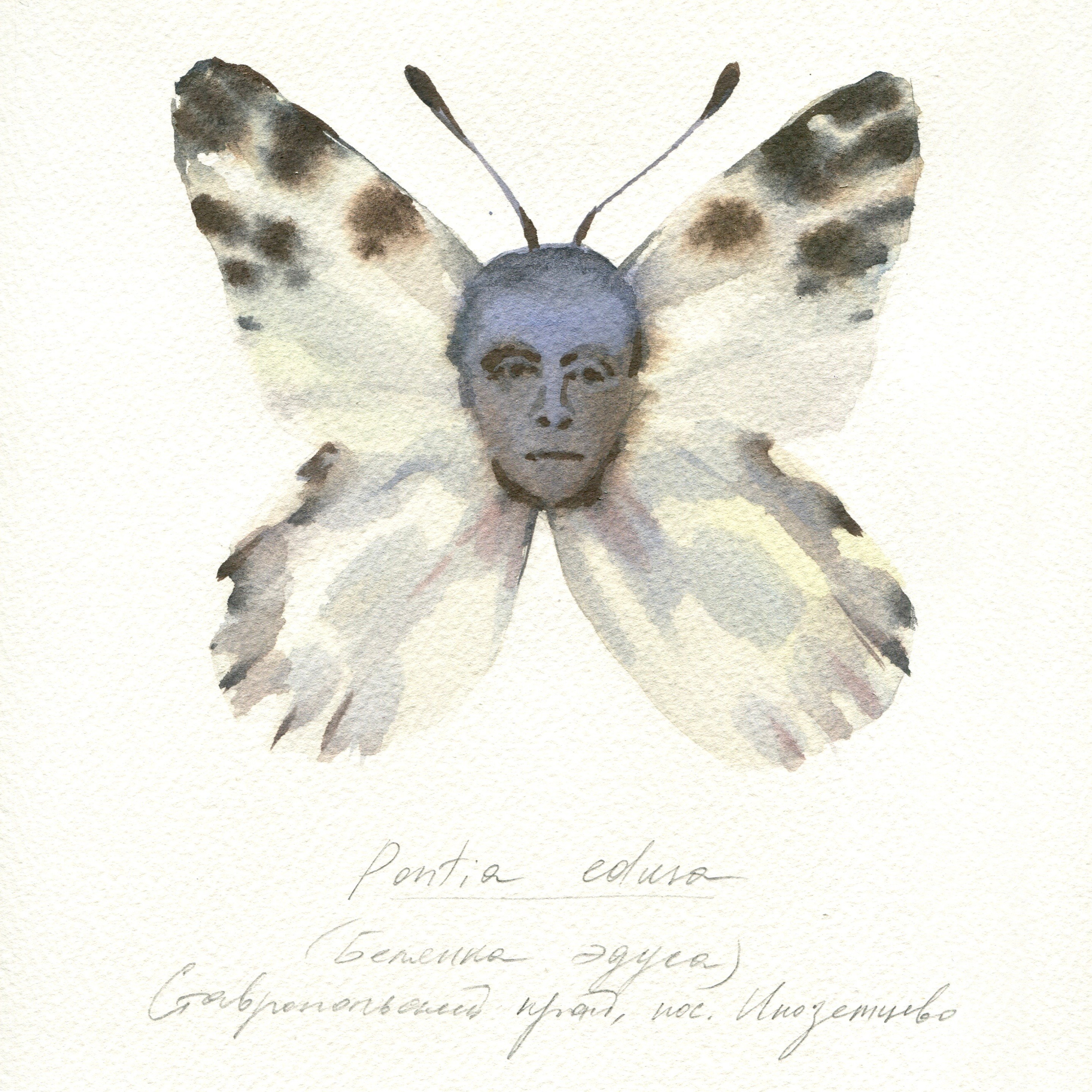 Картотека | 2023. Алина Кугуш