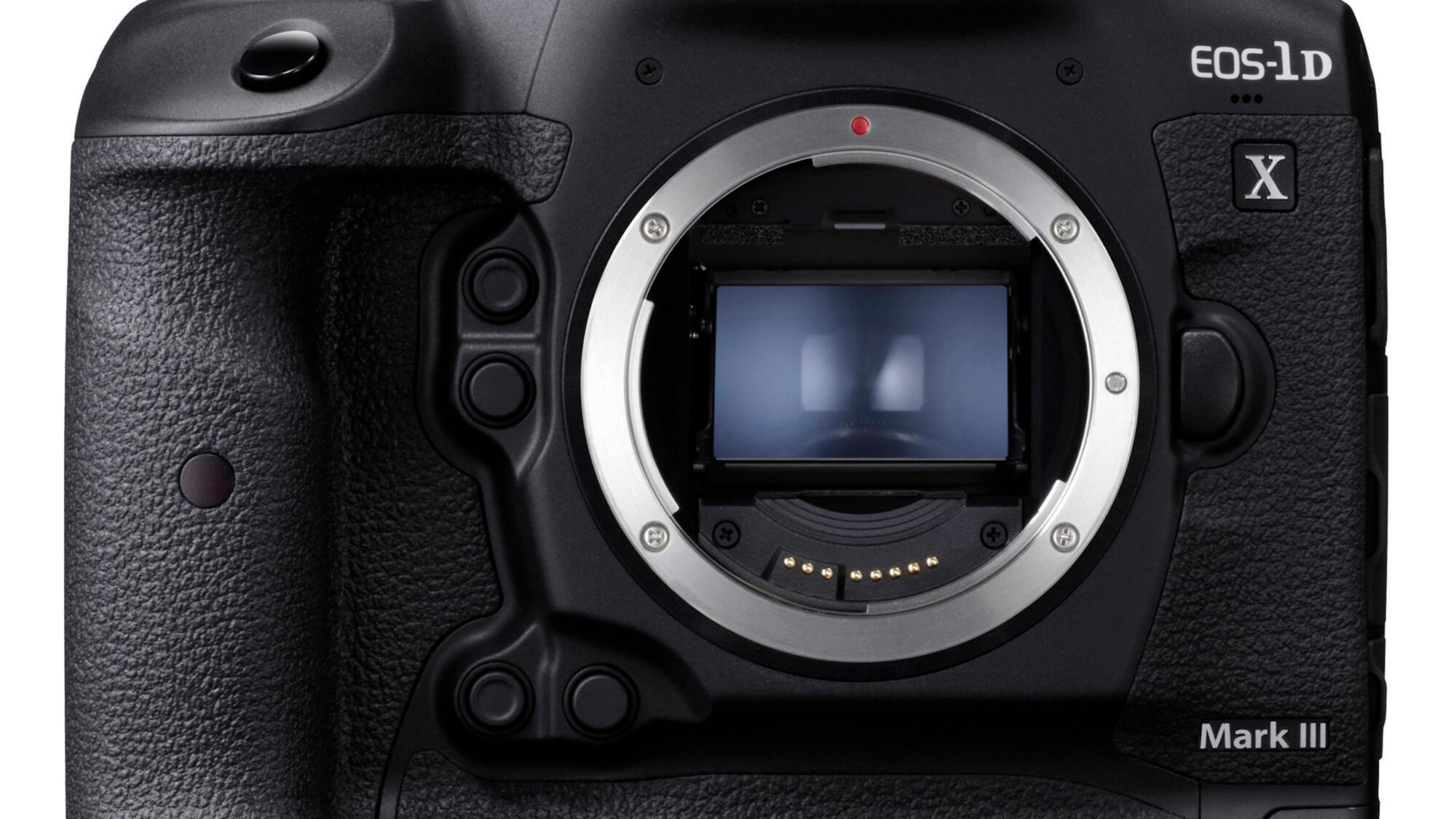 Initial thoughts about Canon 1DX Mark III by Wildlife Photographer Akhil Vinayak Menon. The pros and cons. A competitive analysis of whats available on the market as well at the time of its launch from other brands.