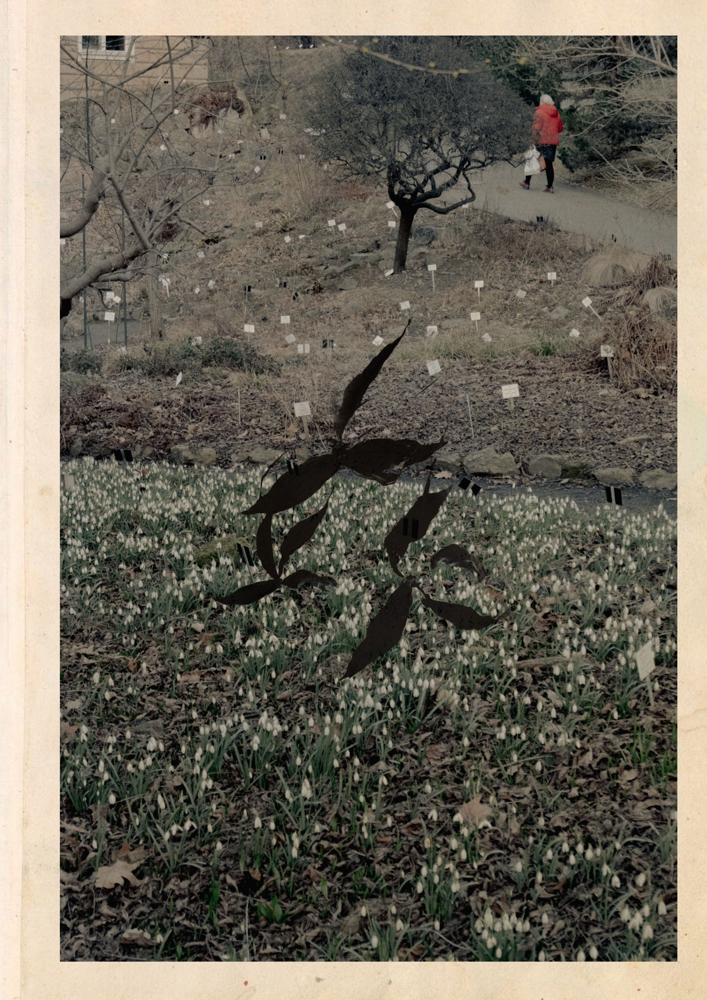 Photo diary of visual poetry