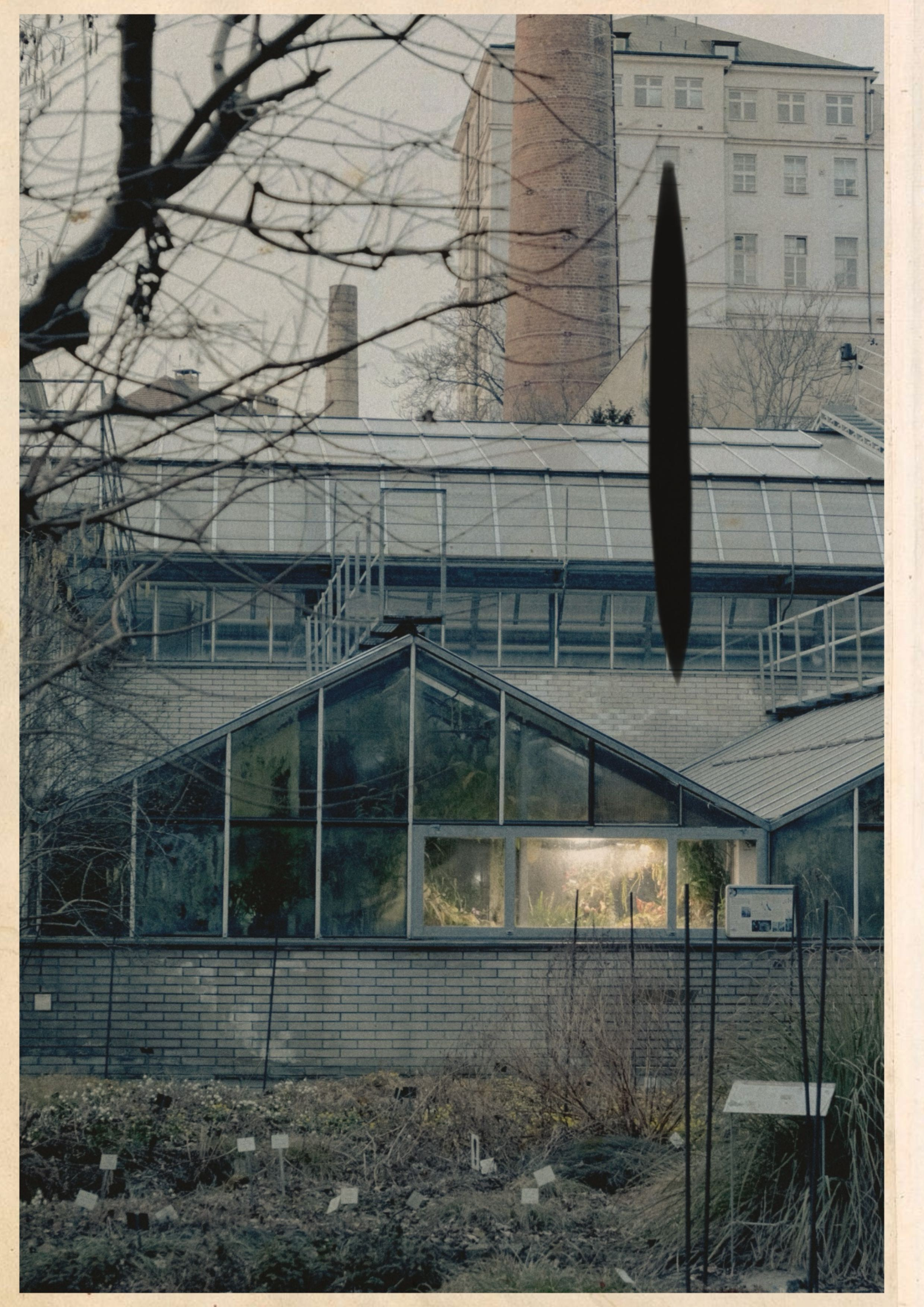 Photo diary of visual poetry