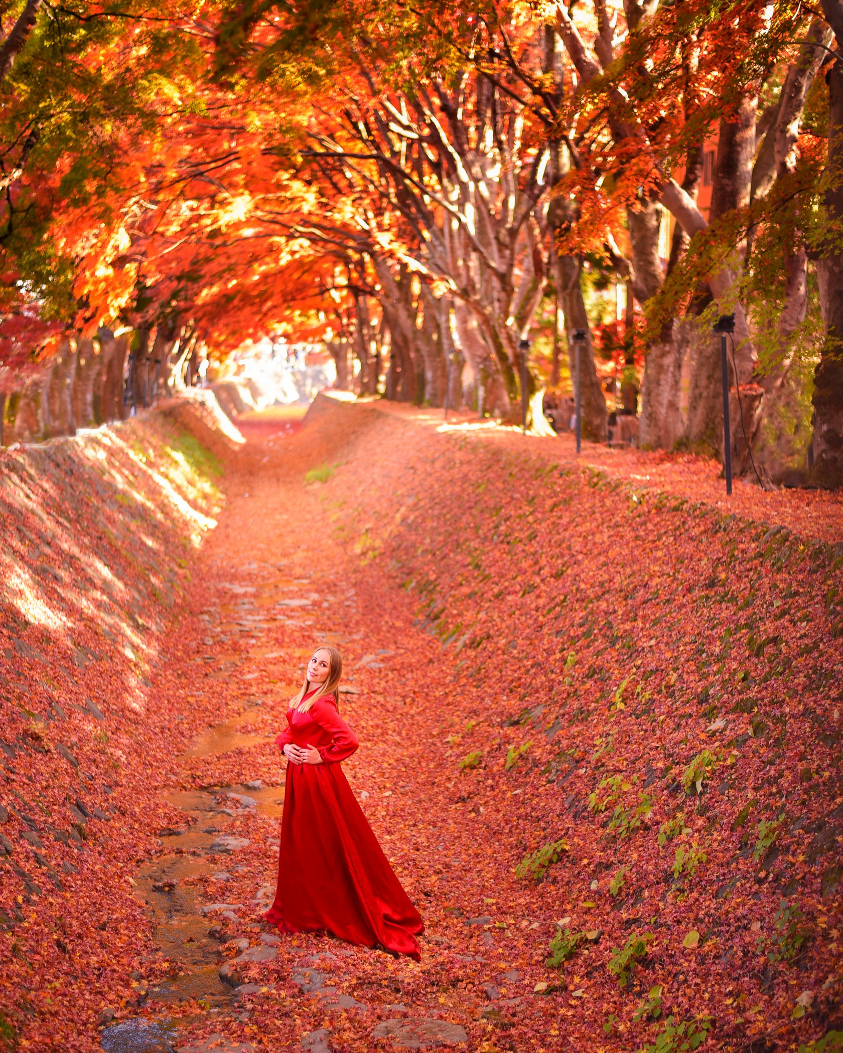 Services Ru. Photographer in Tokyo, Japan