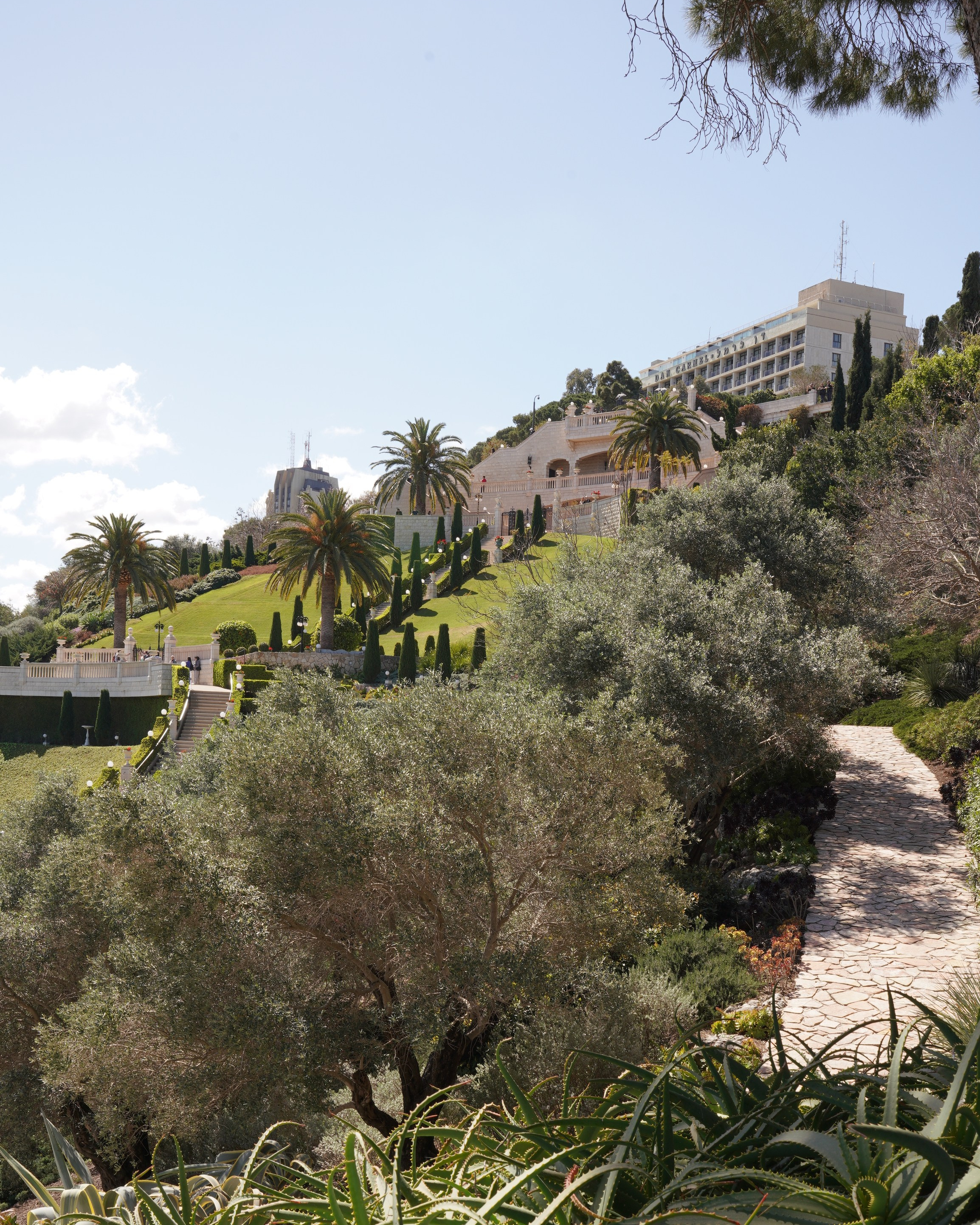 גני בהאי: לוקיישן לצילומים מעודנים