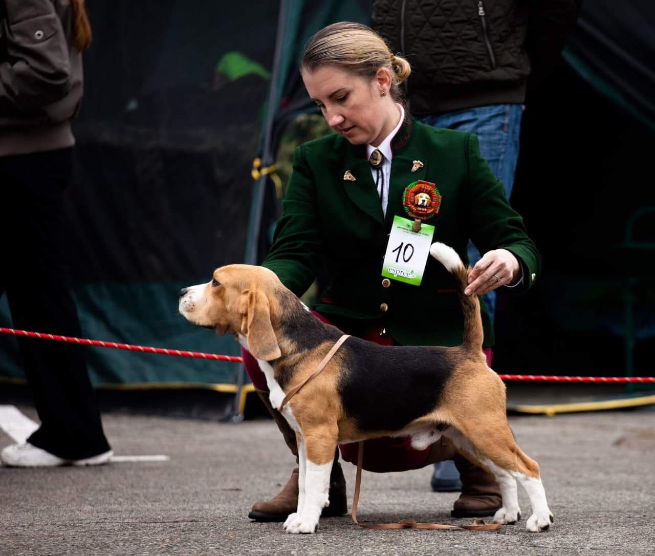 About. Pet photographer Kateryna Mumzhynska