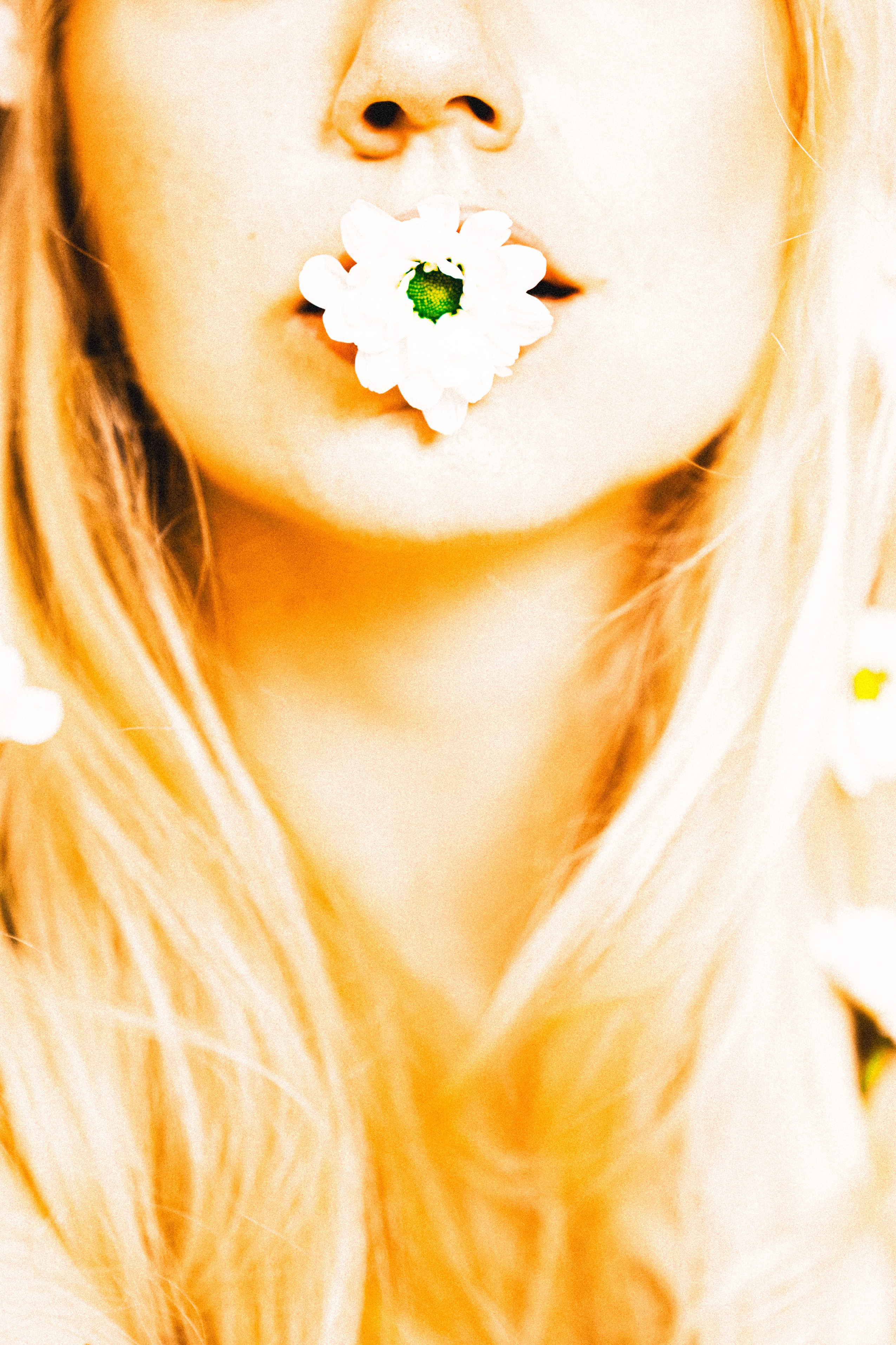 PRICE. Anna Miyauchi