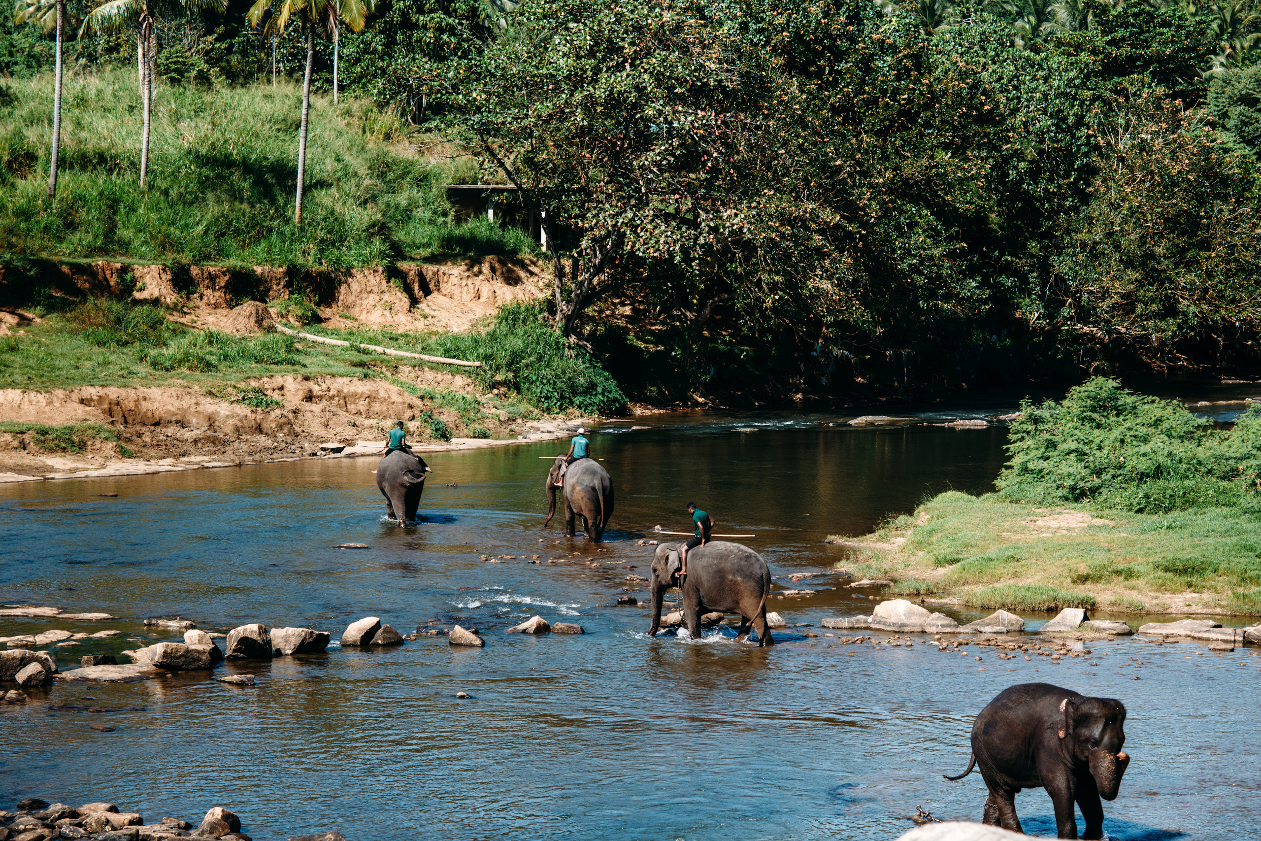 Wedding family photographer Alicante Benidorm Valencia Costa Blanca