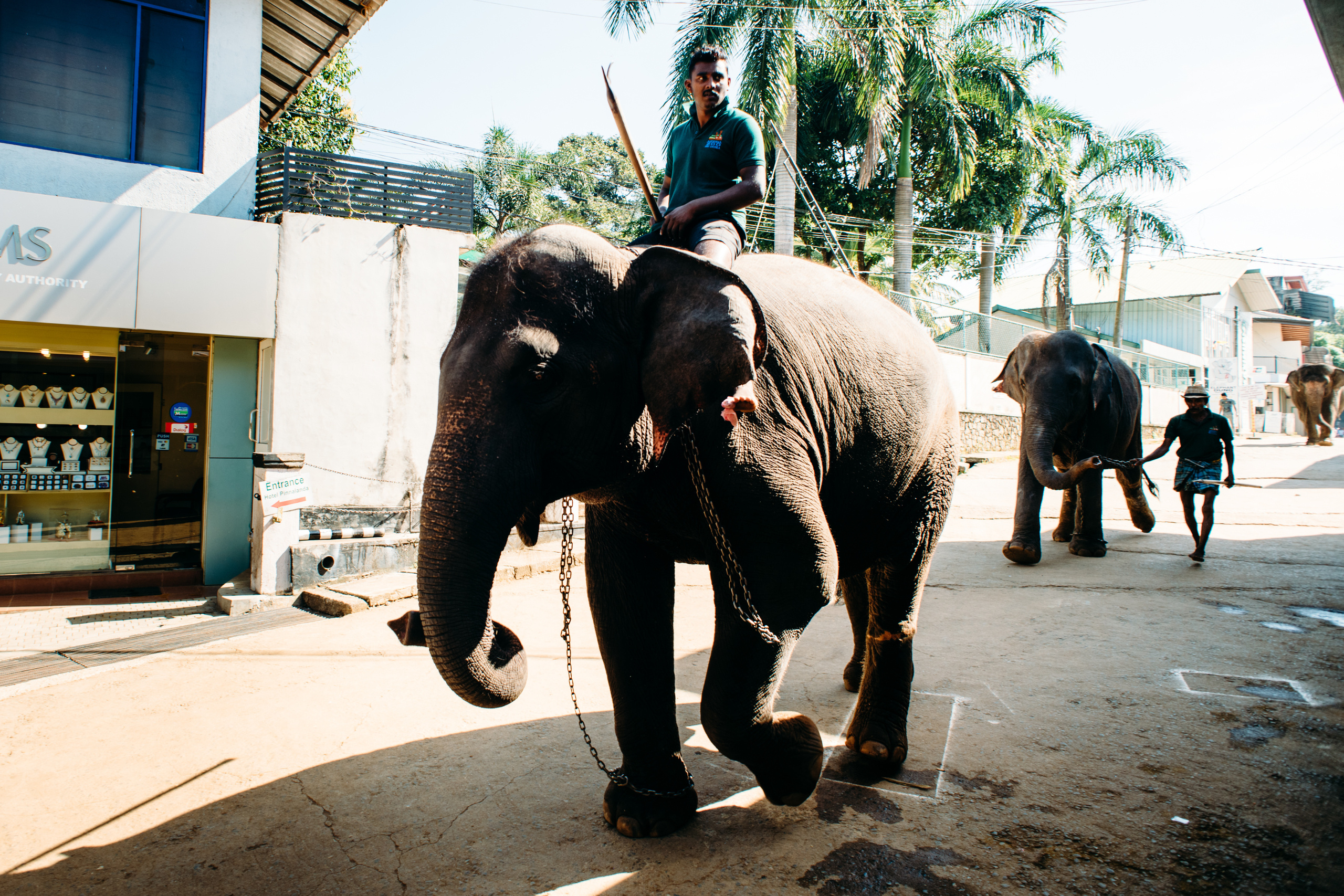 Wedding family photographer Alicante Benidorm Valencia Costa Blanca