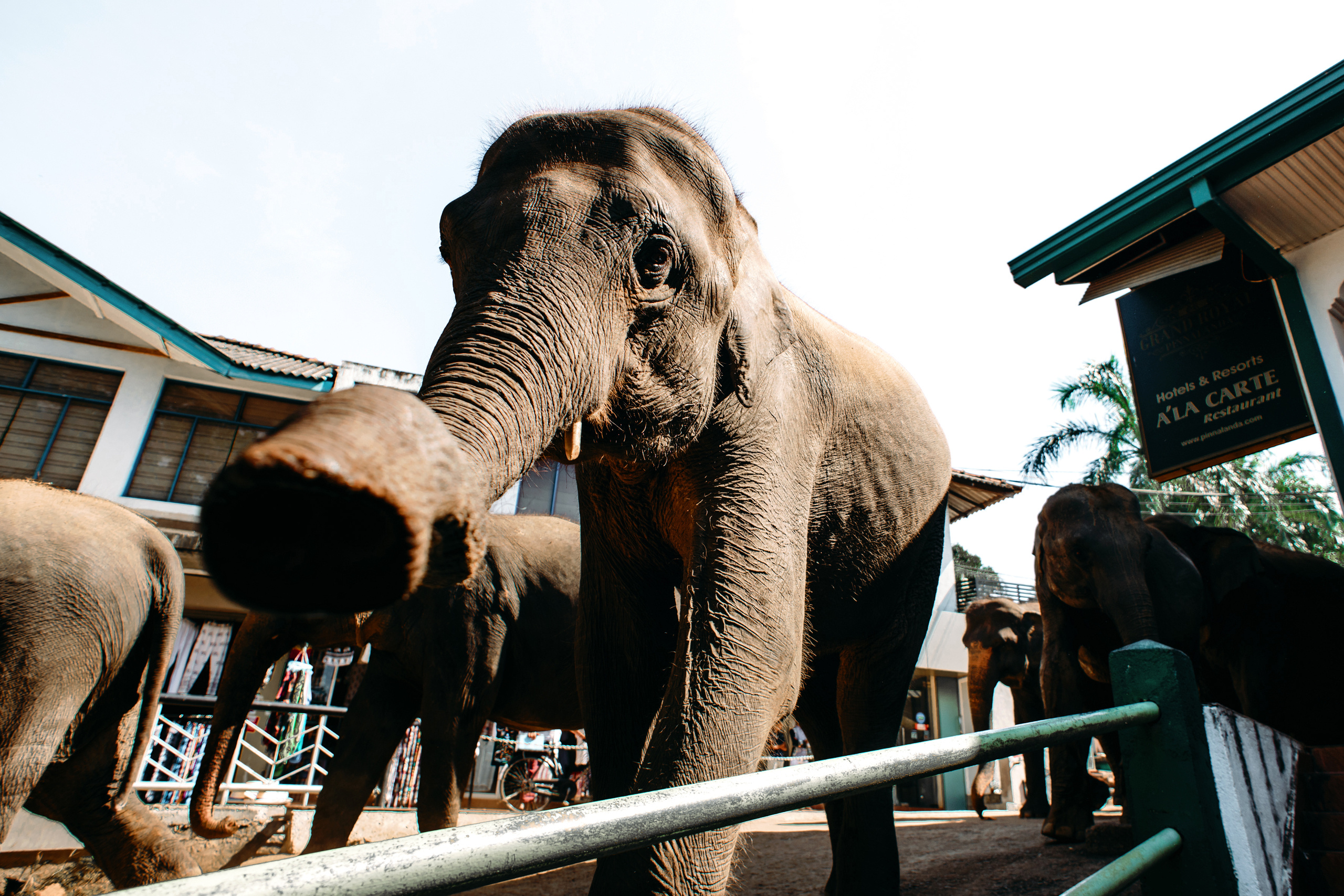 Wedding family photographer Alicante Benidorm Valencia Costa Blanca