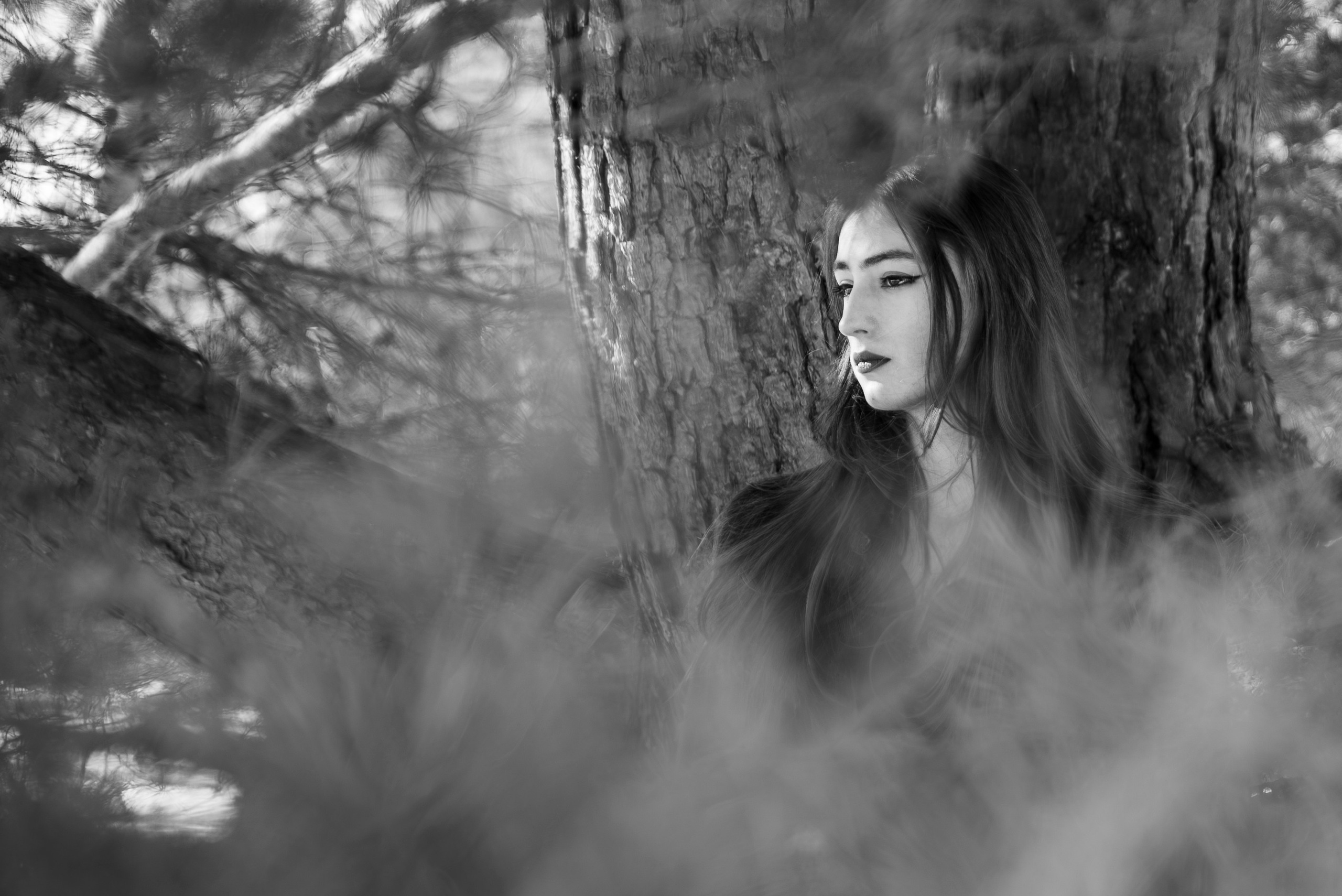 Prizonieră la castel. Daniel Hașiegan