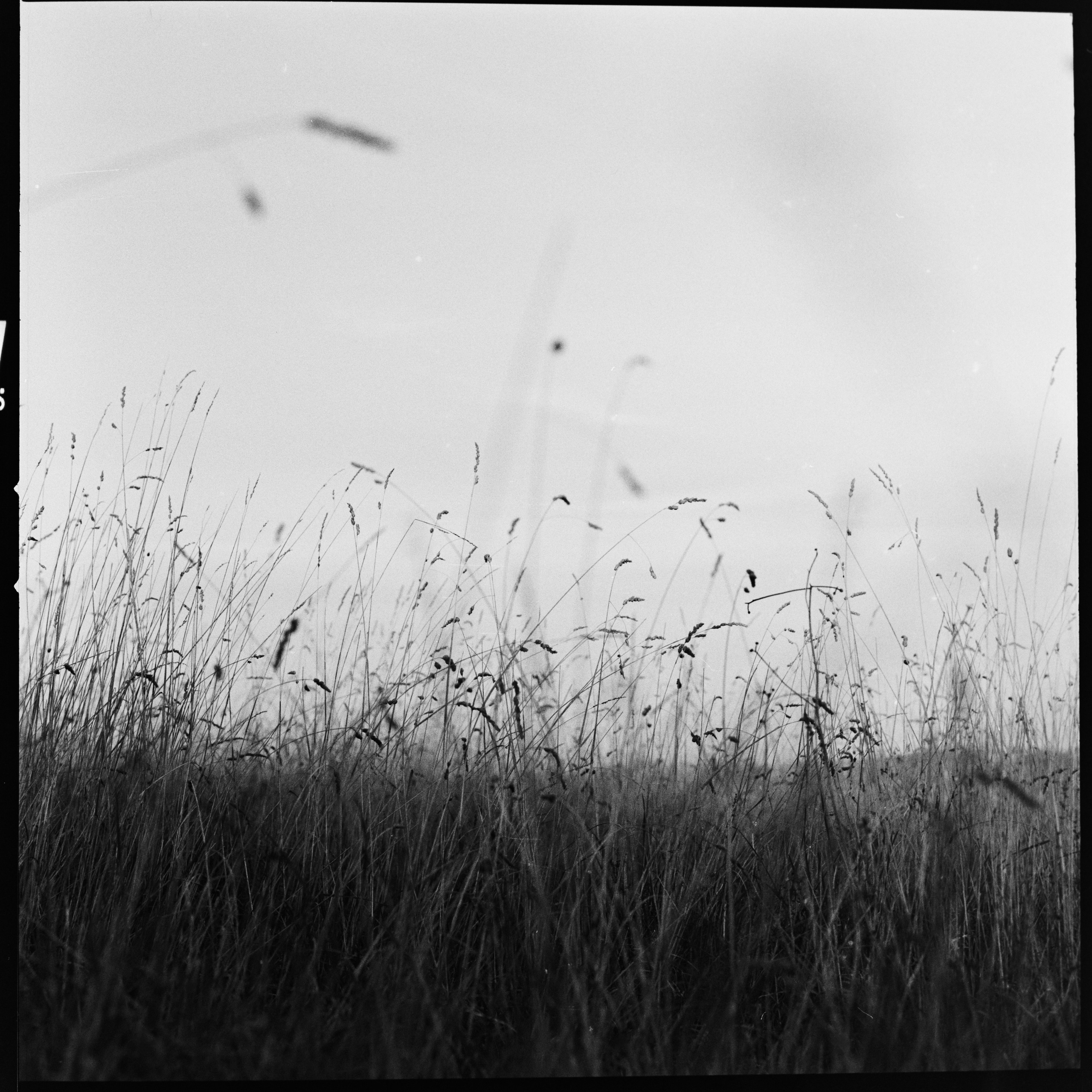 Fine Art. W LAB 192 | Davide Vichi