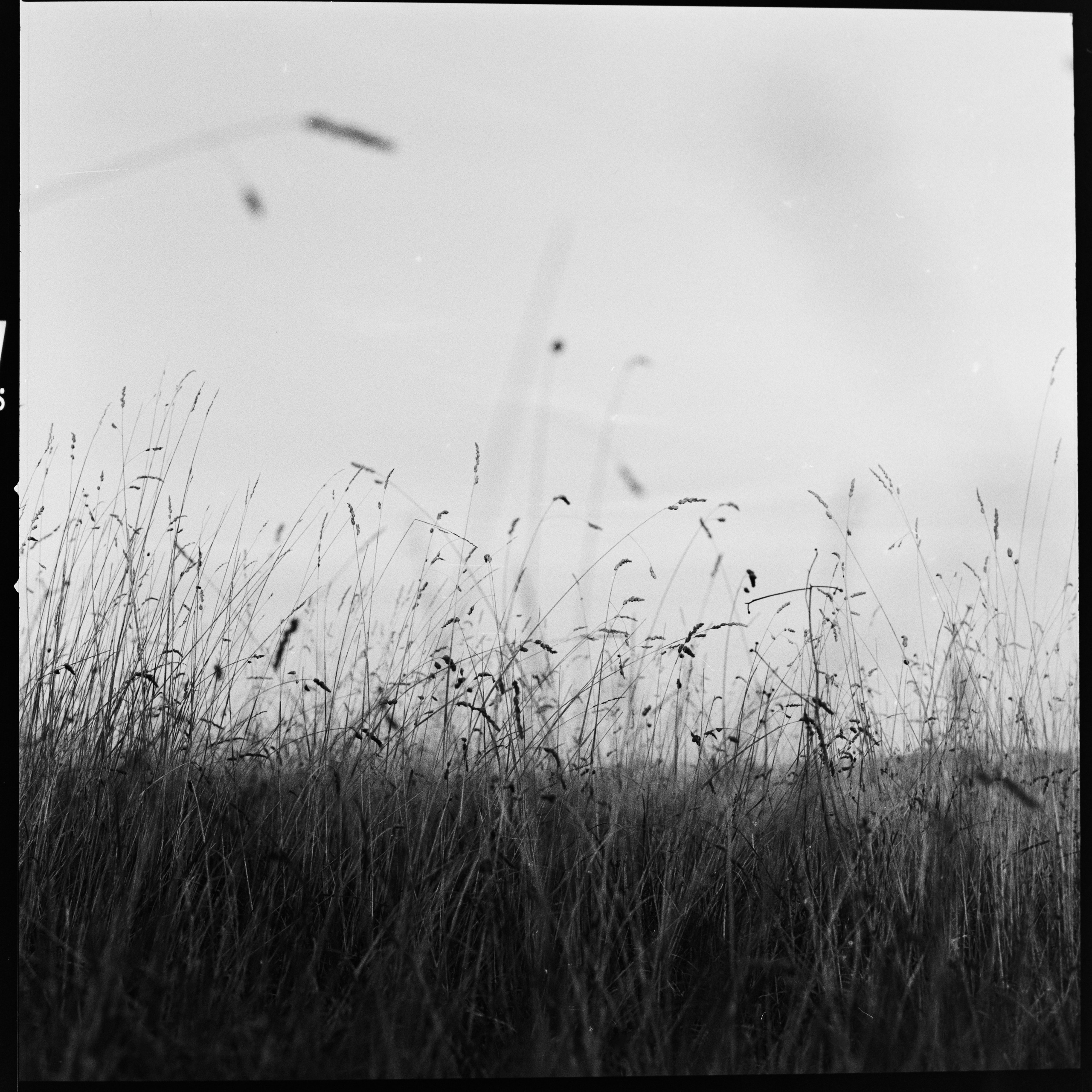 Fine Art. W LAB 192 | Davide Vichi