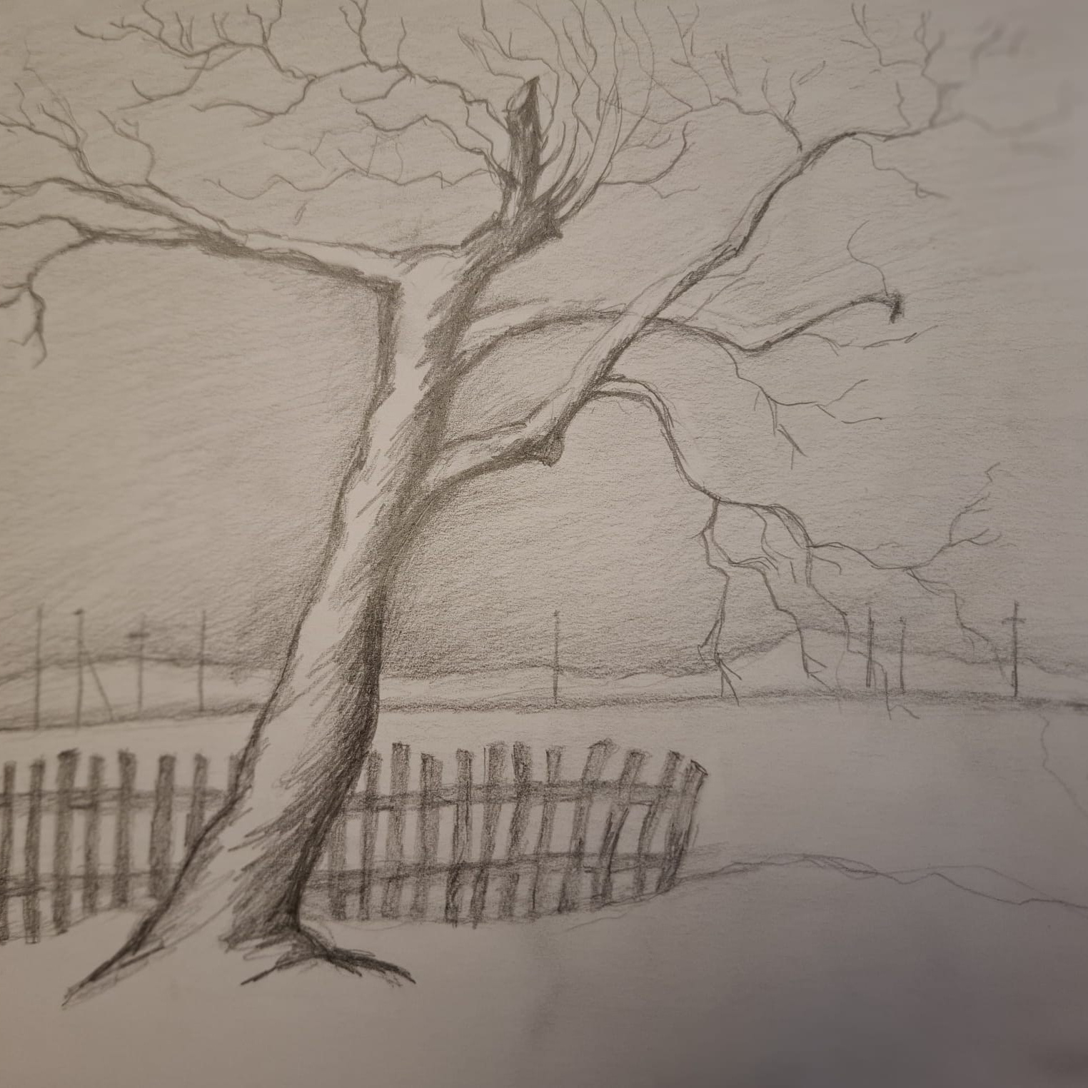 Работы учеников школы Лени Сморагдовой — рисование с нуля за 10 недель. Школа современного искусства Лени Сморагдовой