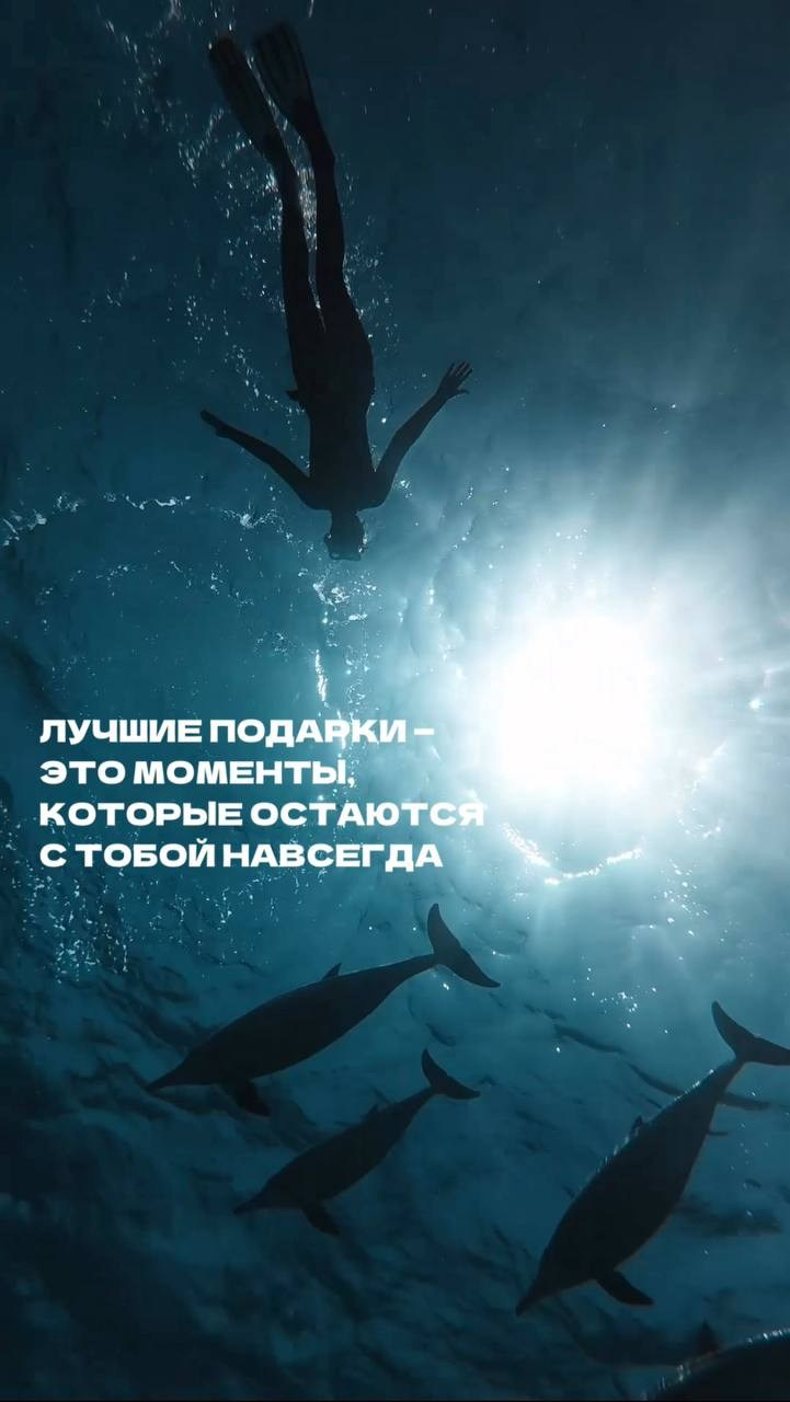 NEW Путешествие к дельфинам, октябрь 2026. Семейные лагеря в Европе с Ниной Янечковой и Ириной Зиновьевой