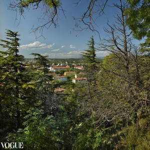 Сказка подмосковного леса. Суть фотографии в стиле изобразительного искусства