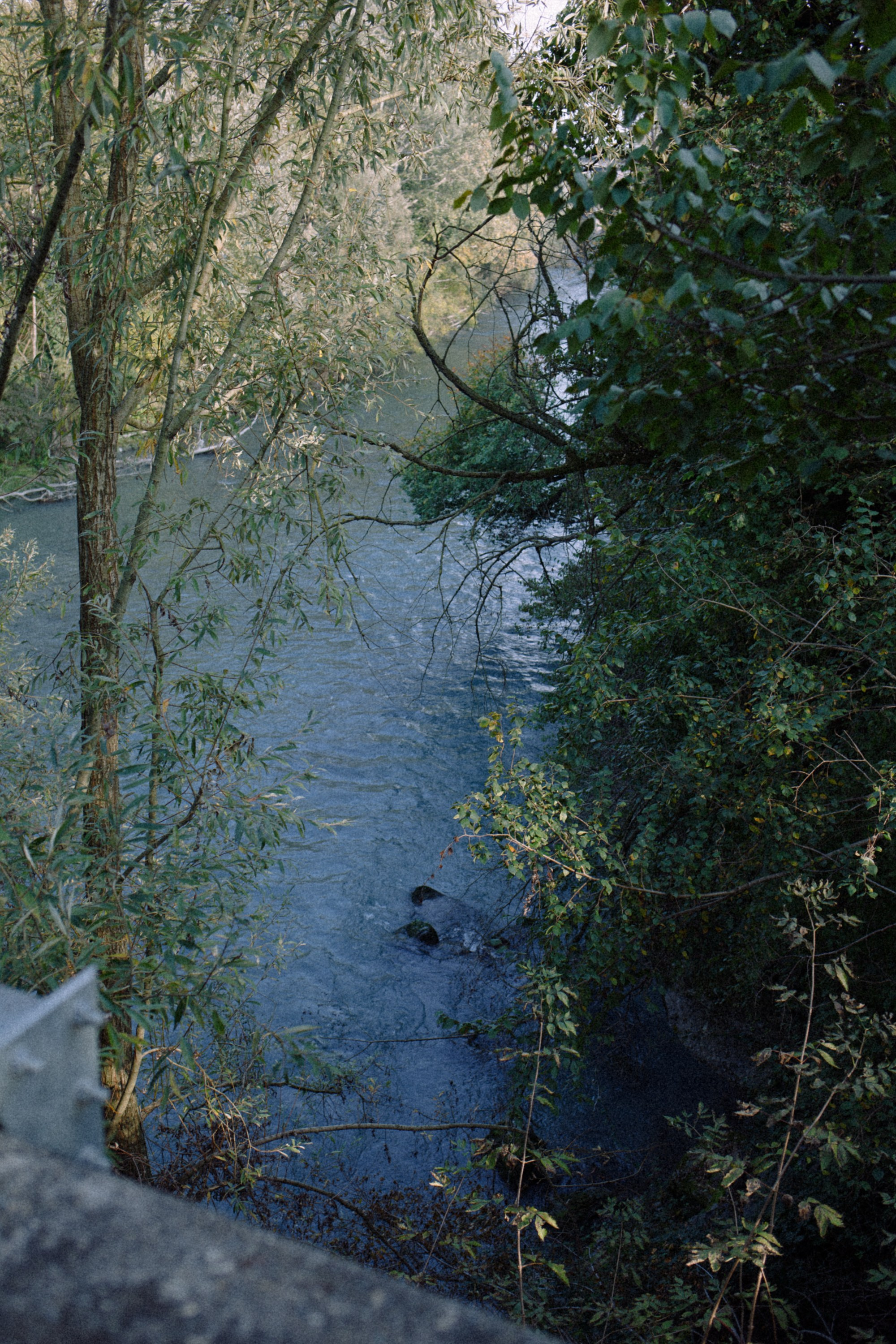 DAYS IN TURIN FILLED WITH MUSIC. Marina Kálcheva — Photographer & Visual Artist in Barcelona