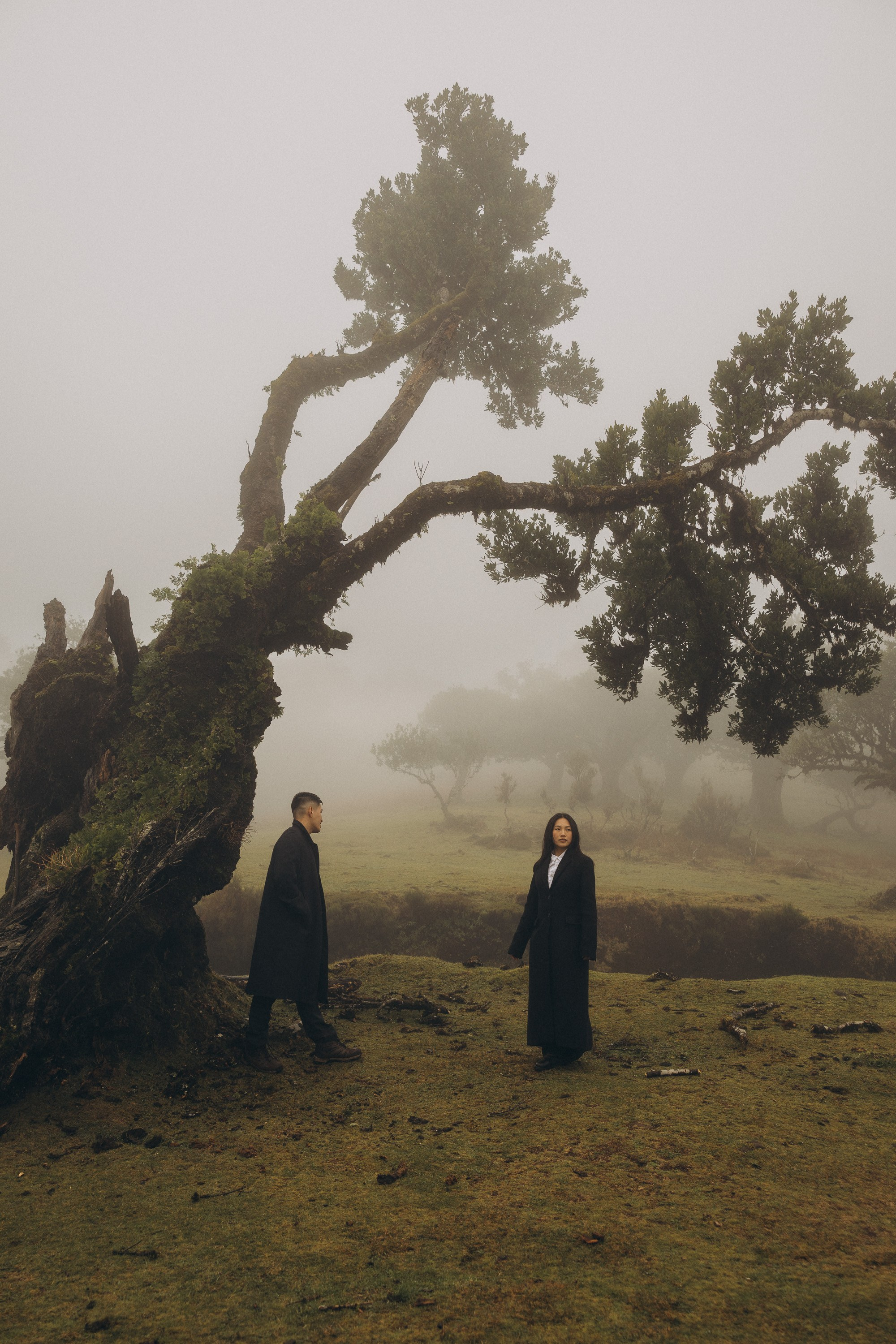 elopement photography Fanal forest Madeira fog mystical trees couple session