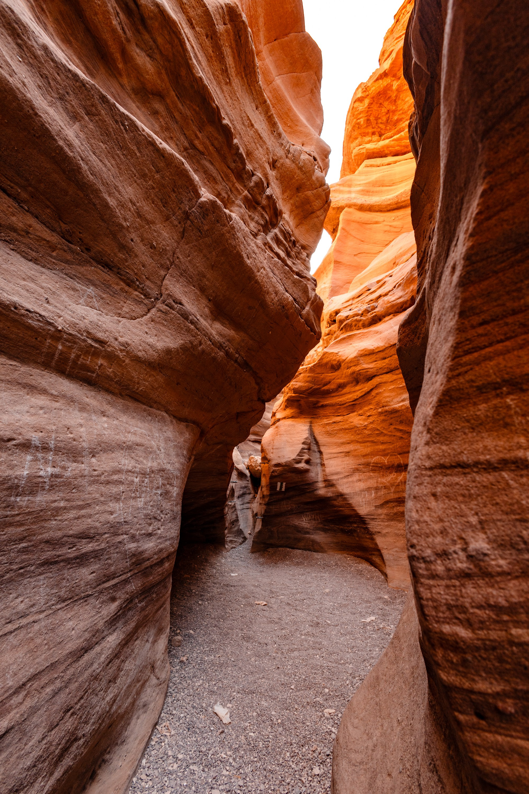 WORLD PHOTO. International Photographer