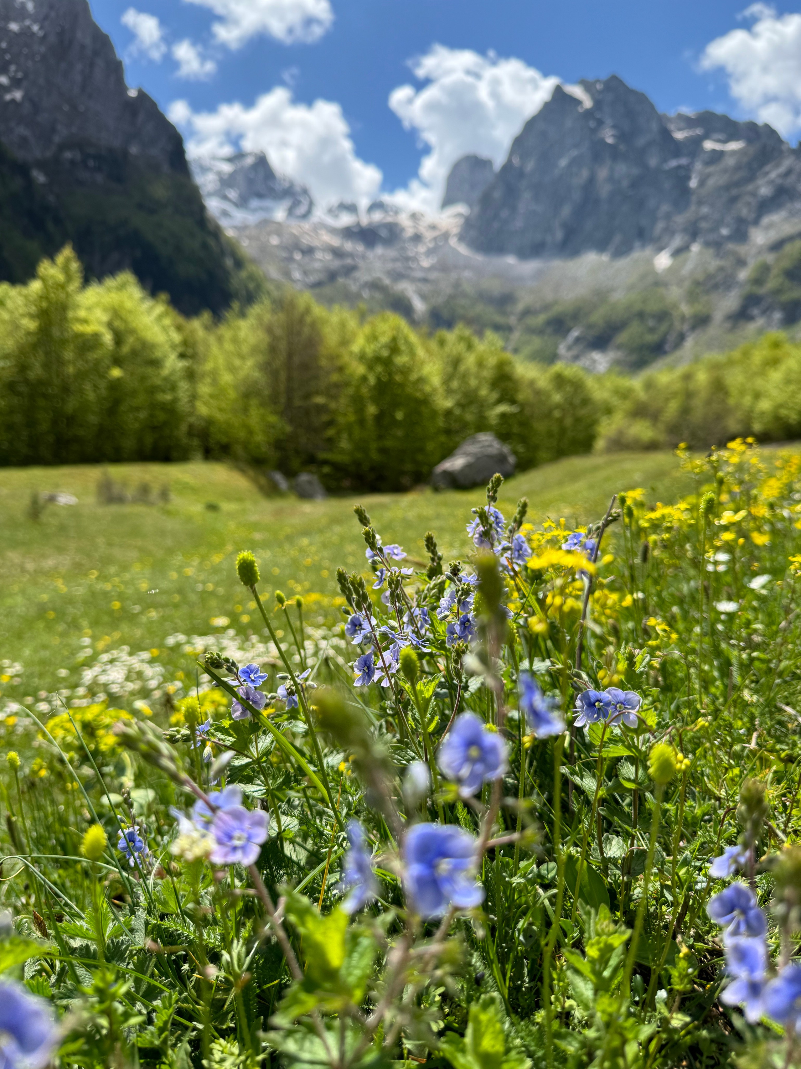 Nationale Parken van Montenegro: Verken Natuurlijke Schoonheid