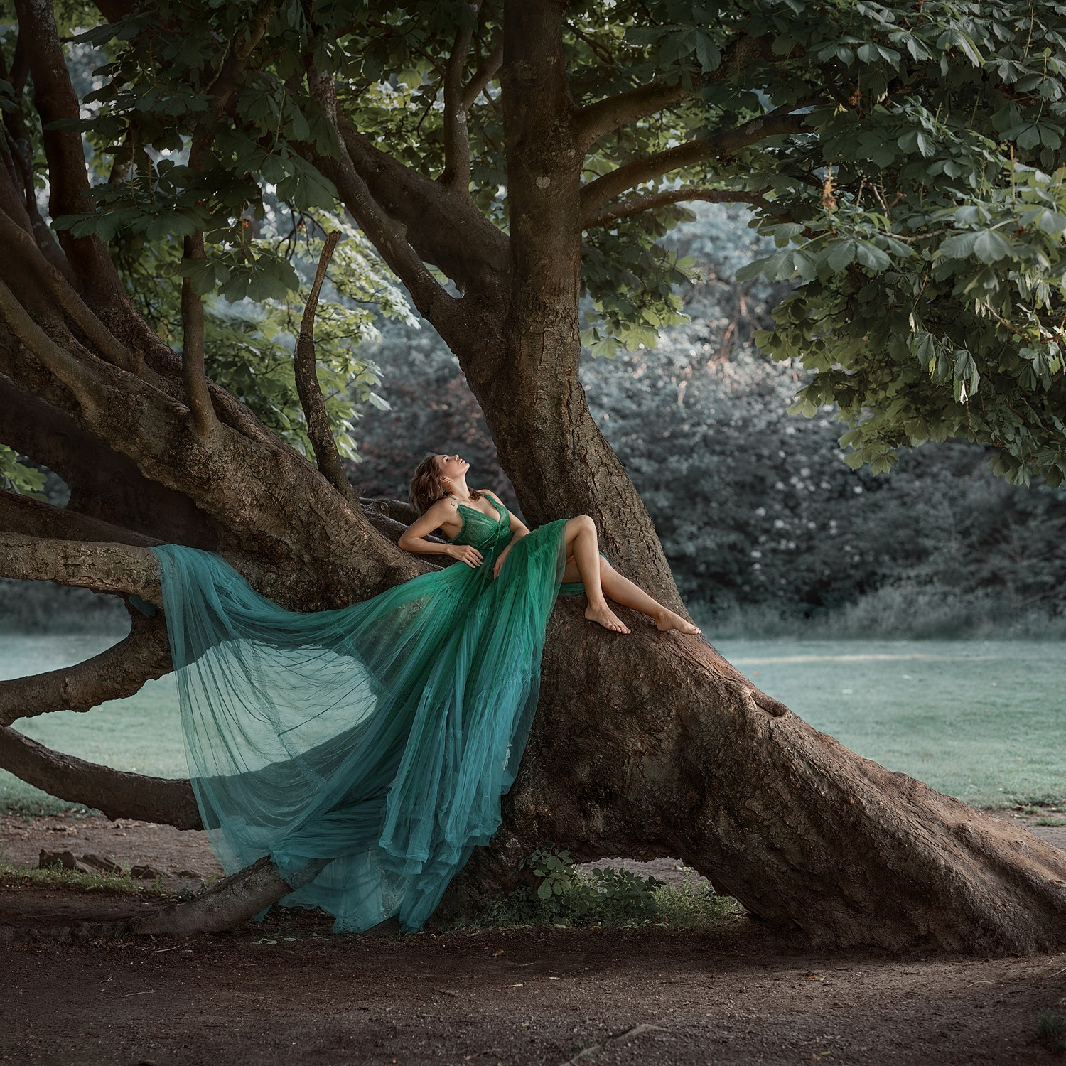 SOUL OF TREE. Art photographer in Amsterdam, the Netherlands Irina Dzhul