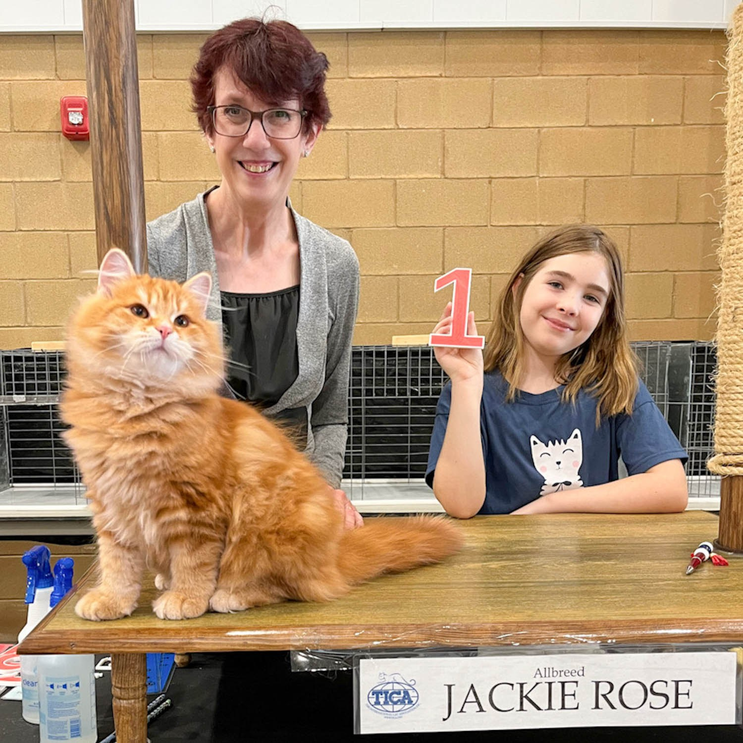 Astera Lastik best all breed kitten by judge Jackie Rose.