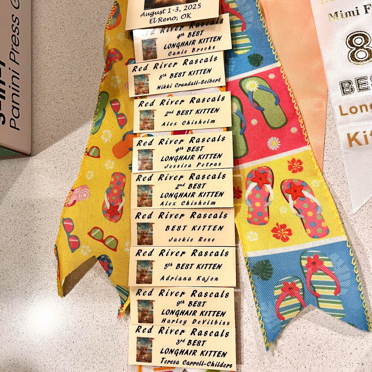 Tica show ribbons of Astera Lastik, red classic tabby Siberian kitten.