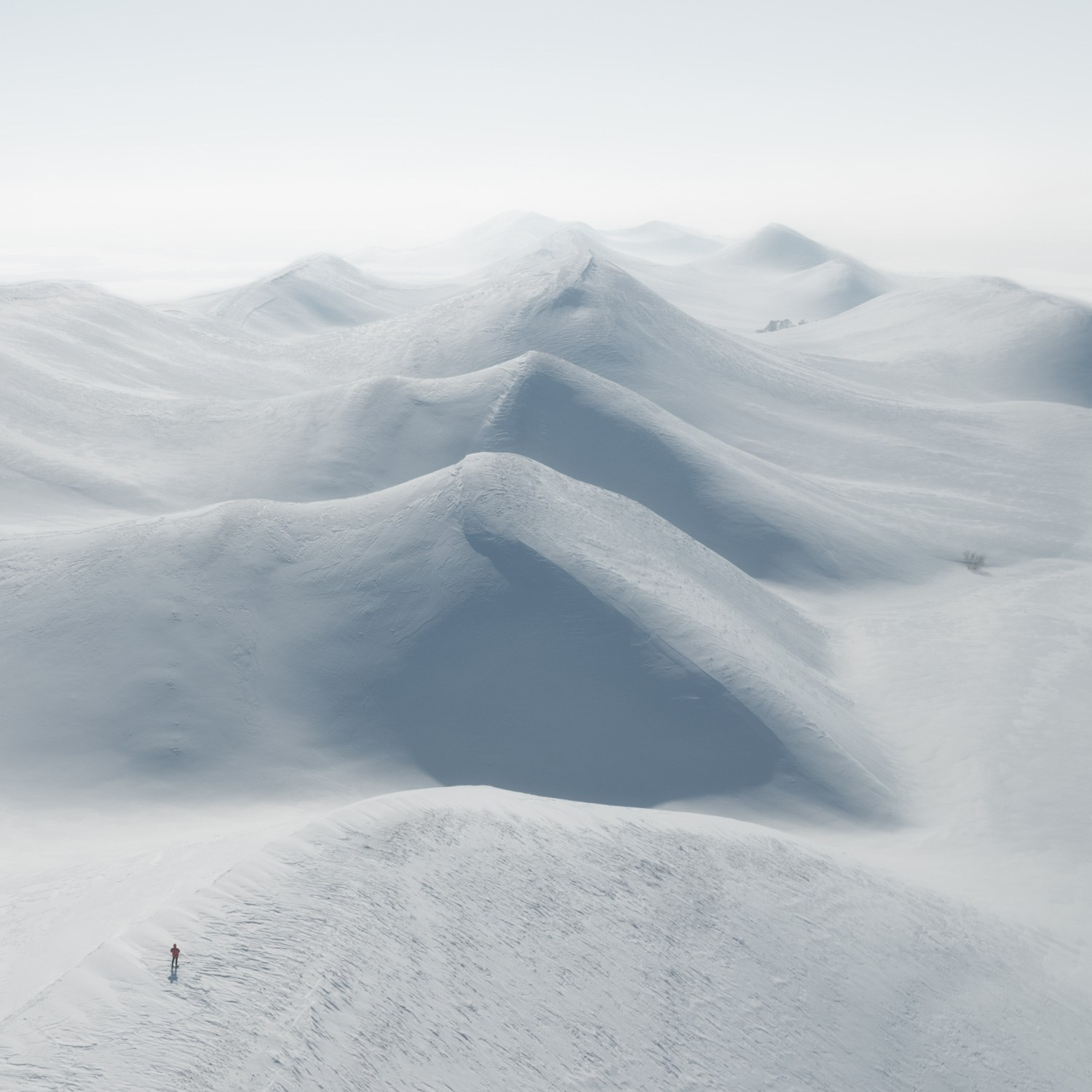 Portfolio Award 2025