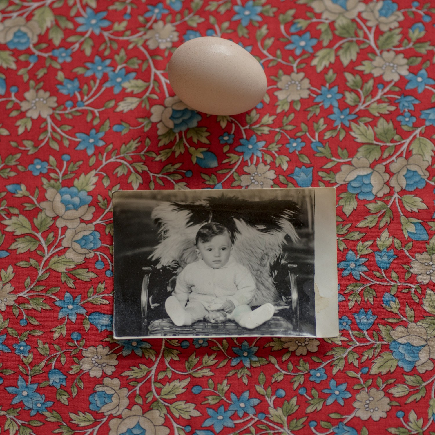 Landscapes of Home. Лило Даниелян | Visual artist