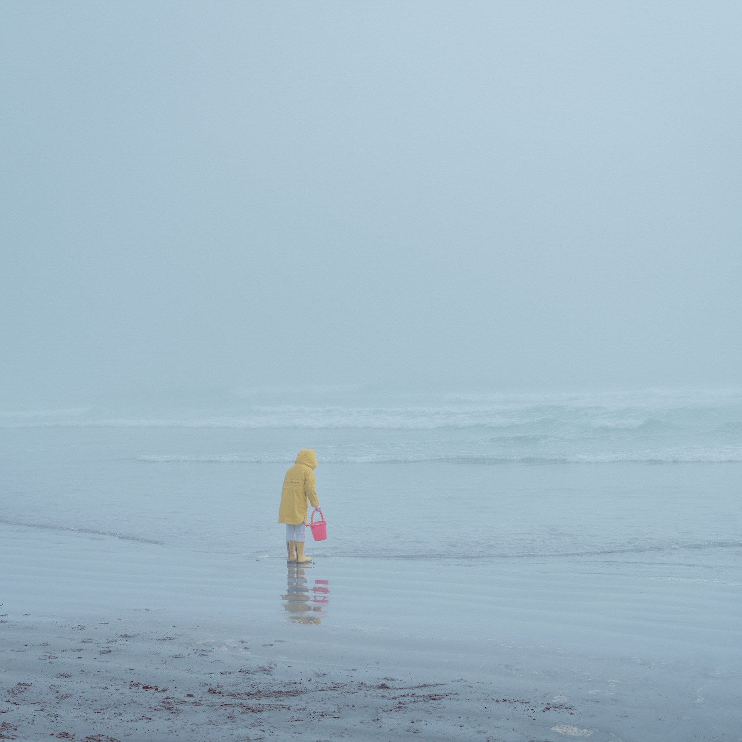 Landscapes of Home. Лило Даниелян | Visual artist