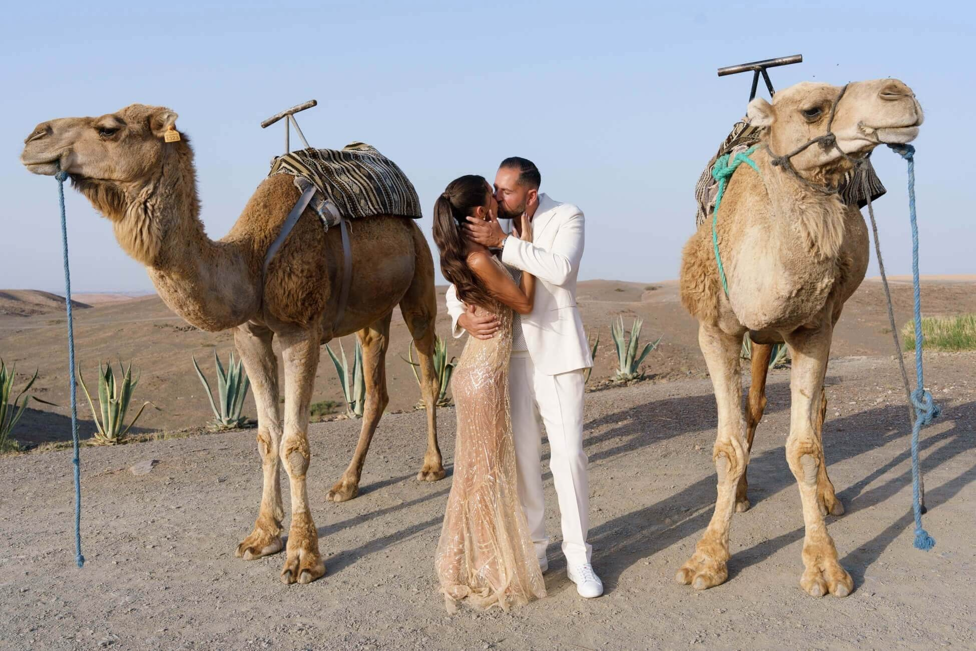 Bride and groom kissing between camels during a luxury destination wedding photoshoot in the Marrakech desert