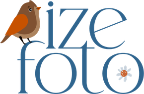 izefotografia.com.br