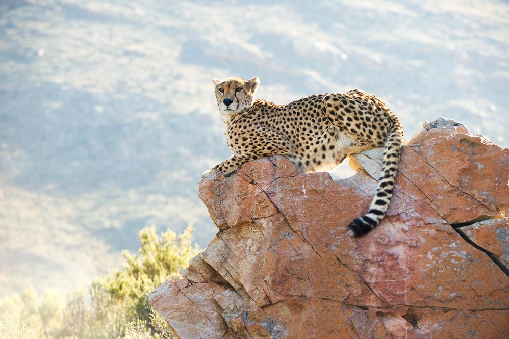 Мои истории. Фотограф и преподаватель фотографии в Белграде