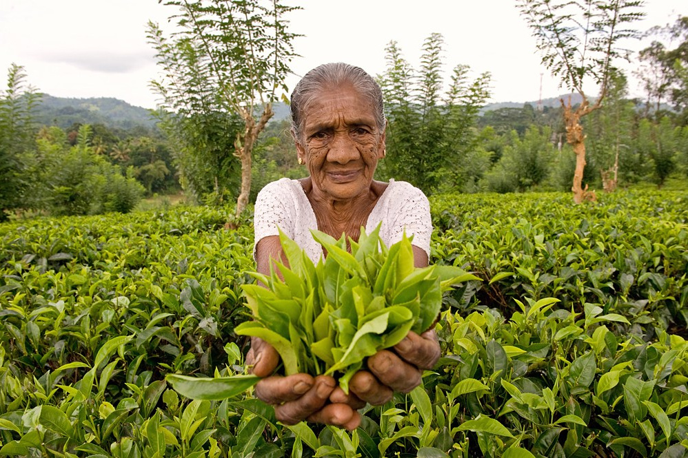 Мои истории. Фотограф и преподаватель фотографии в Белграде