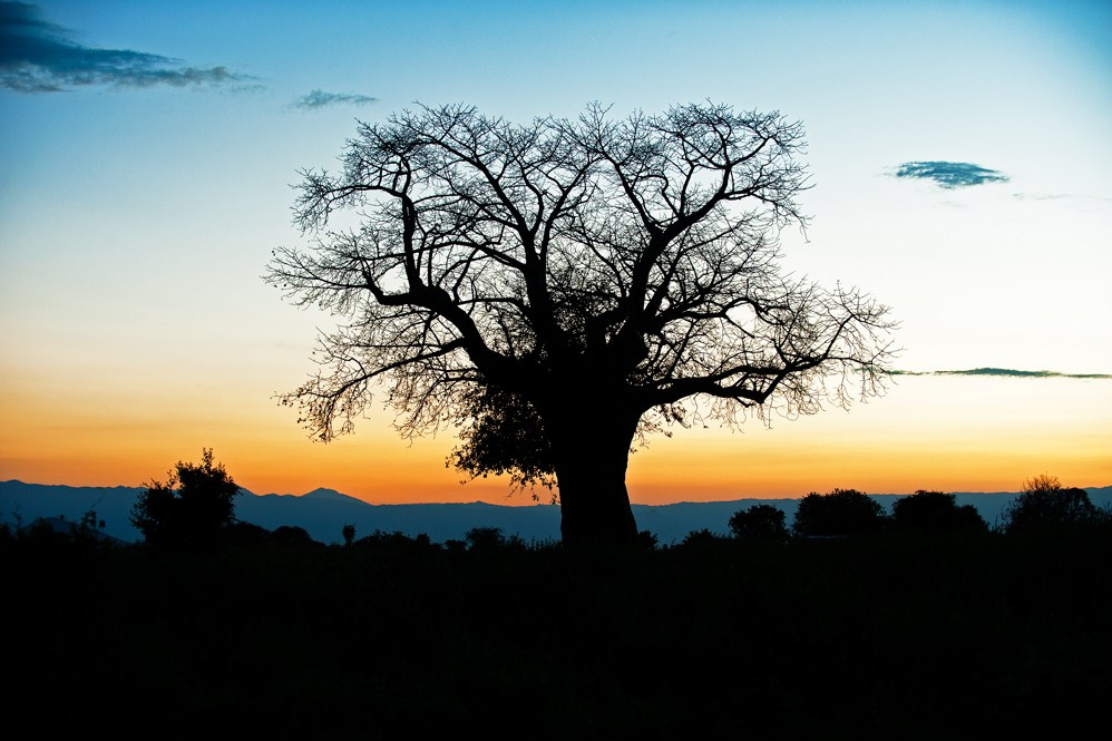 Мои истории. Фотограф и преподаватель фотографии в Белграде