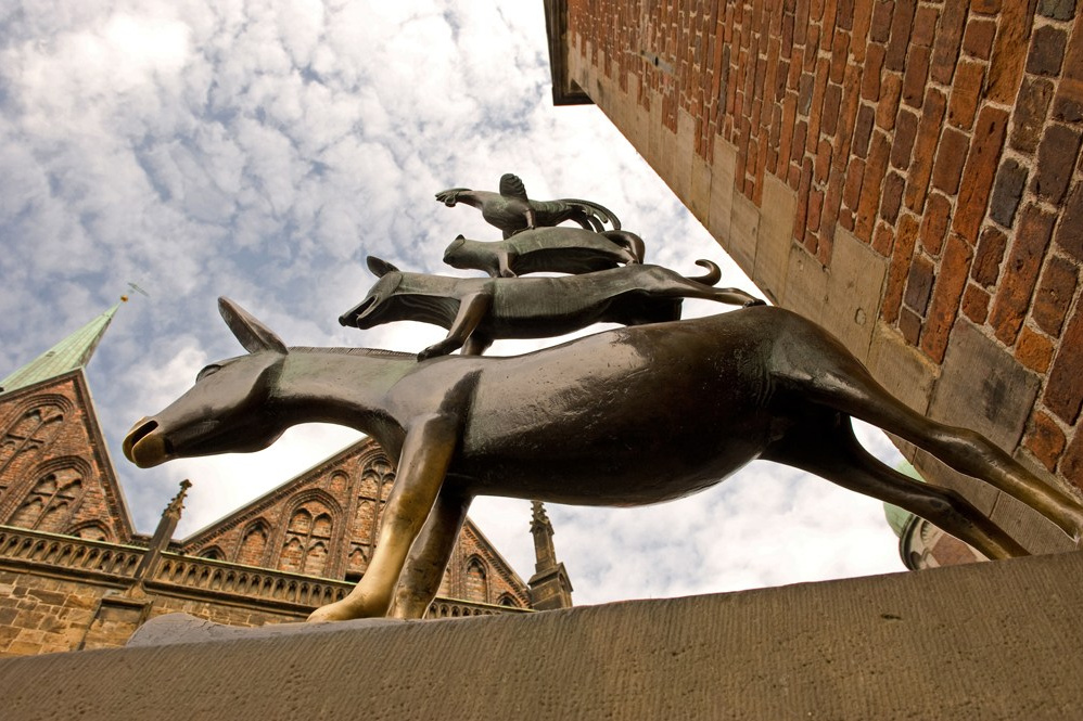 Мои истории. Фотограф и преподаватель фотографии в Белграде