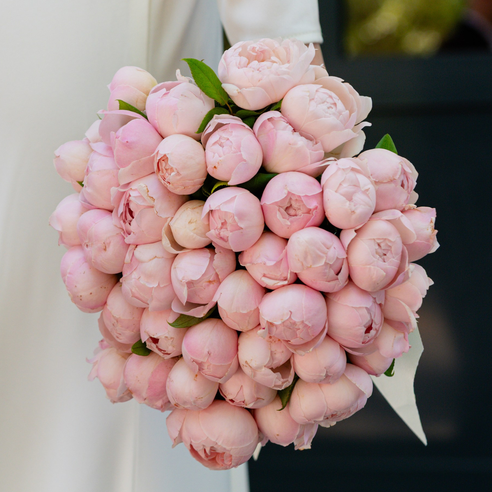 Servicii și prețuri. Acasă