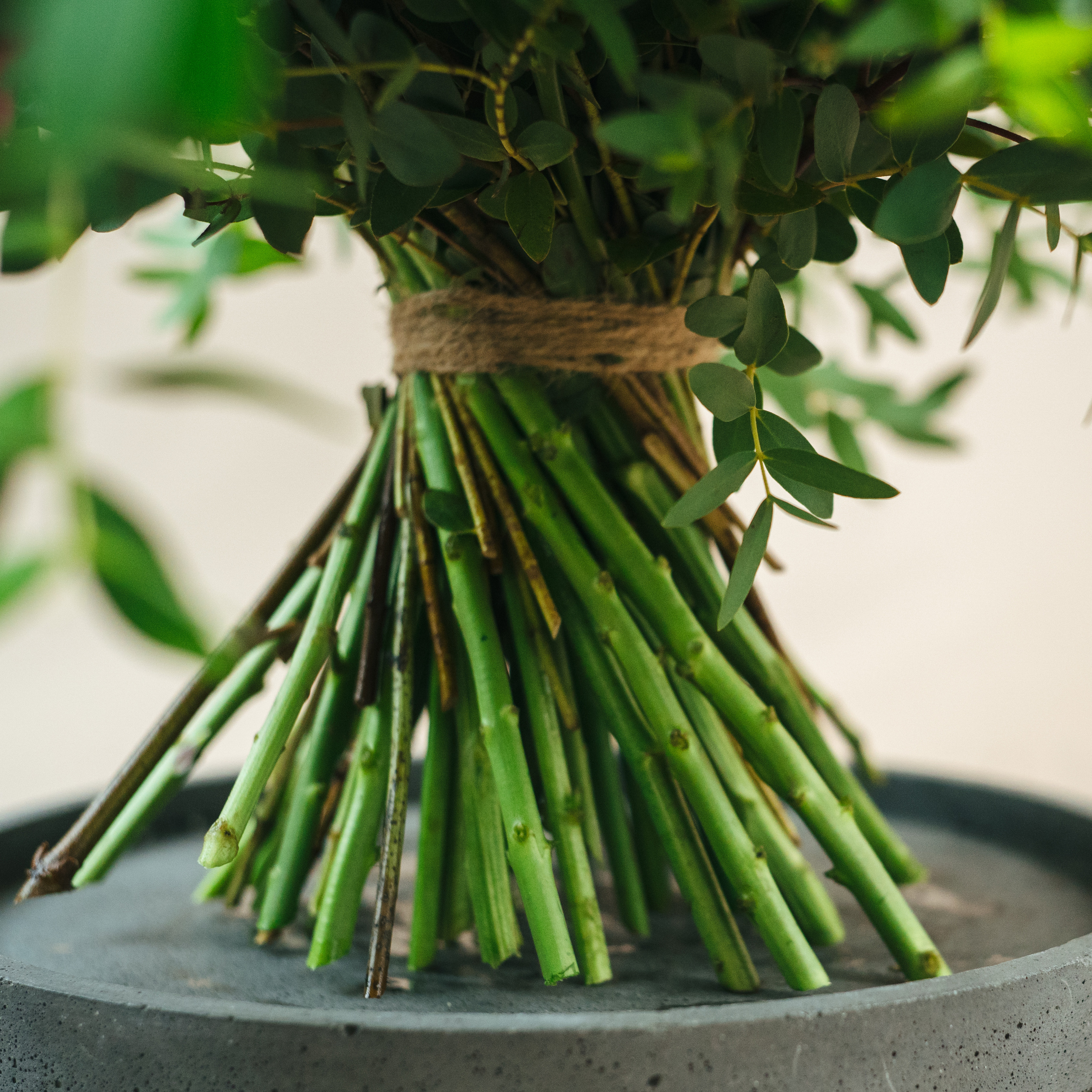 Produktna. Фотограф и видеограф Мария Бортякова из Словении: событийная, портретная и видеосъемка по всей Словении