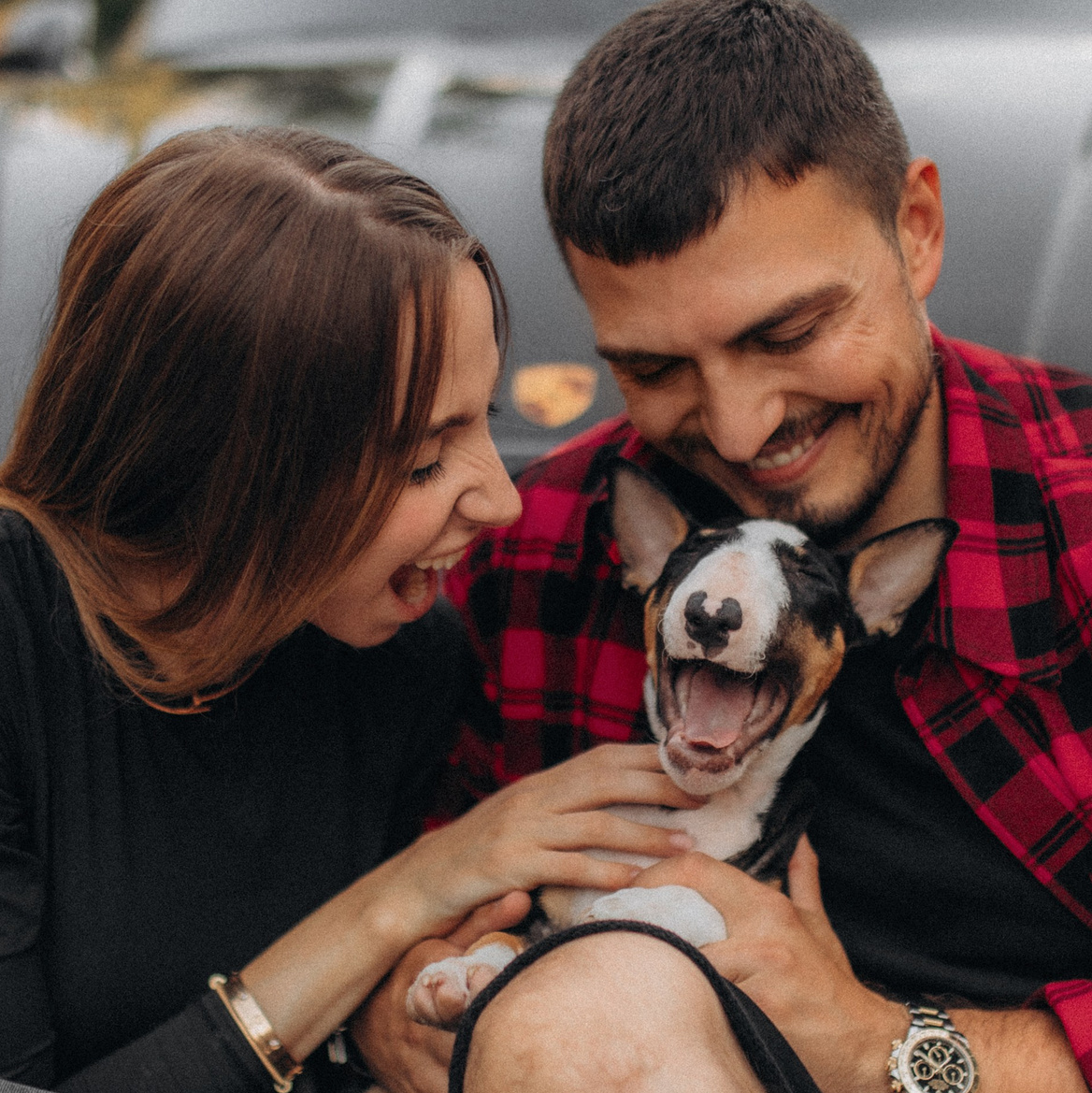 Навчання. Фотограф-анімаліст Київ