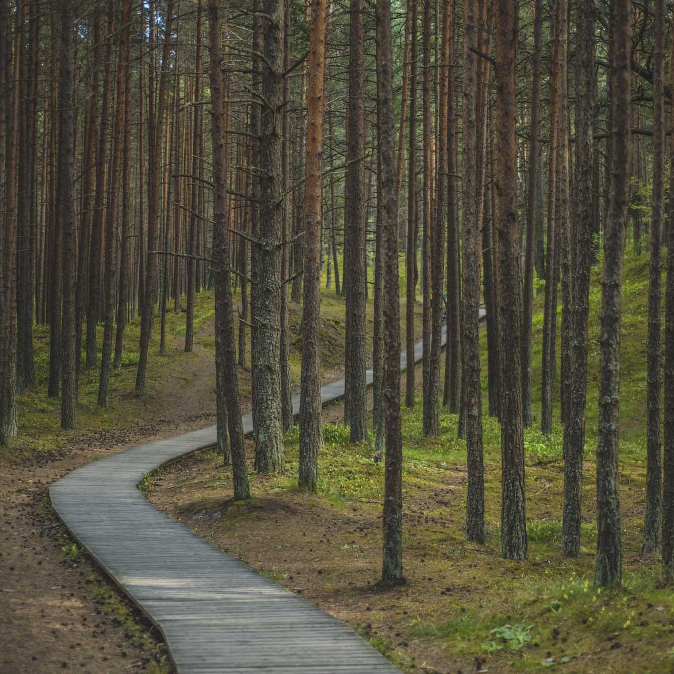Filmēšana ar dronu – ceļvedis iesācējiem. Video filmēšana un veidošana ar telefonu, filmēšanas kursi