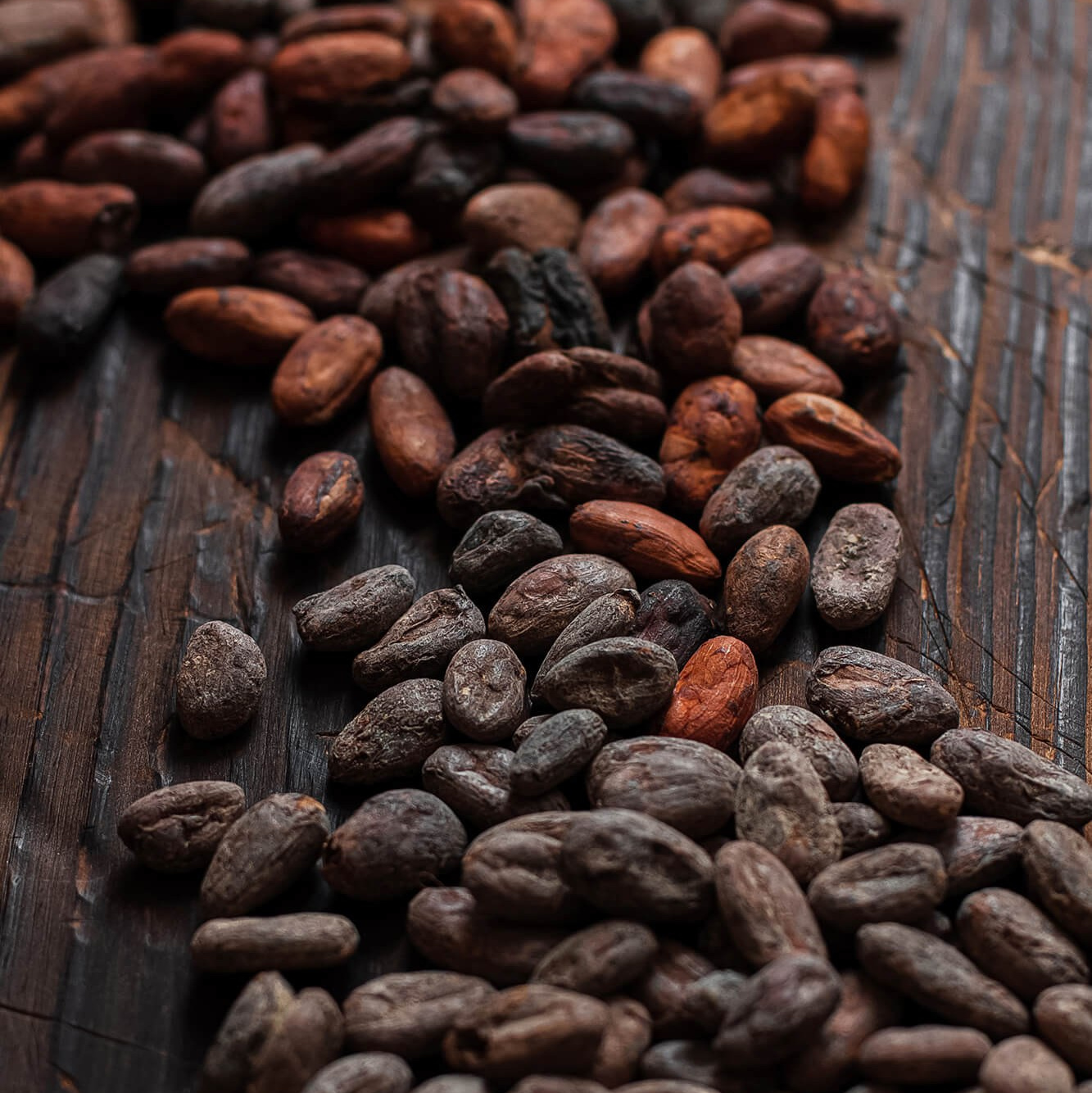 Professional coffee photography in Melbourne, showcasing a barista pulling a perfect espresso shot.