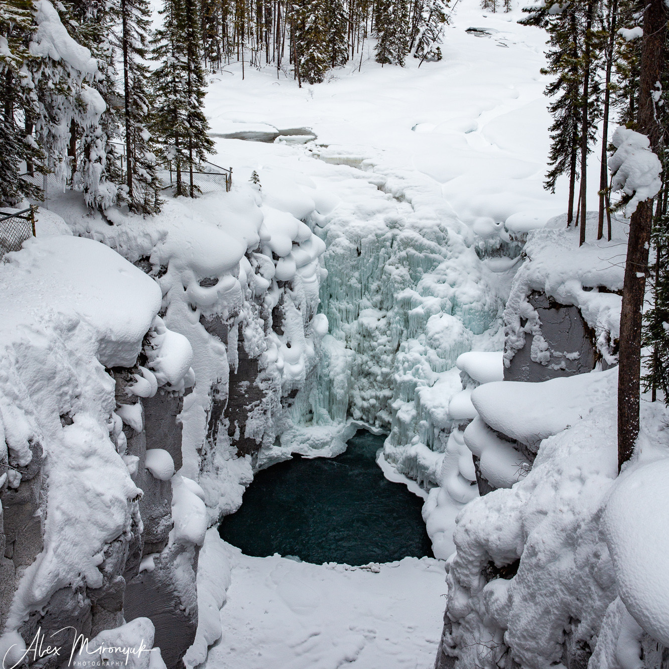 Canadian Winter Wonderland. Pet, Senior, Landscape, portrait studio, photographer in Miami and Sou