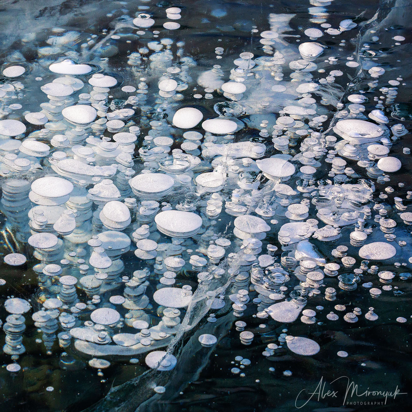 Photographing Winter Wonderland — Canada. Pet, Senior, Landscape, portrait studio, photographer in Miami and Sou