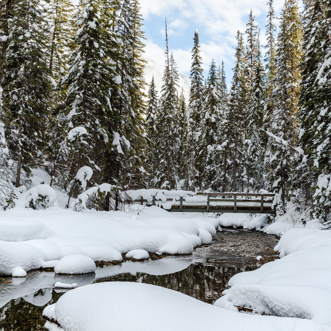 Canadian Winter Wonderland. Pet, Senior, Landscape, portrait studio, photographer in Miami and Sou