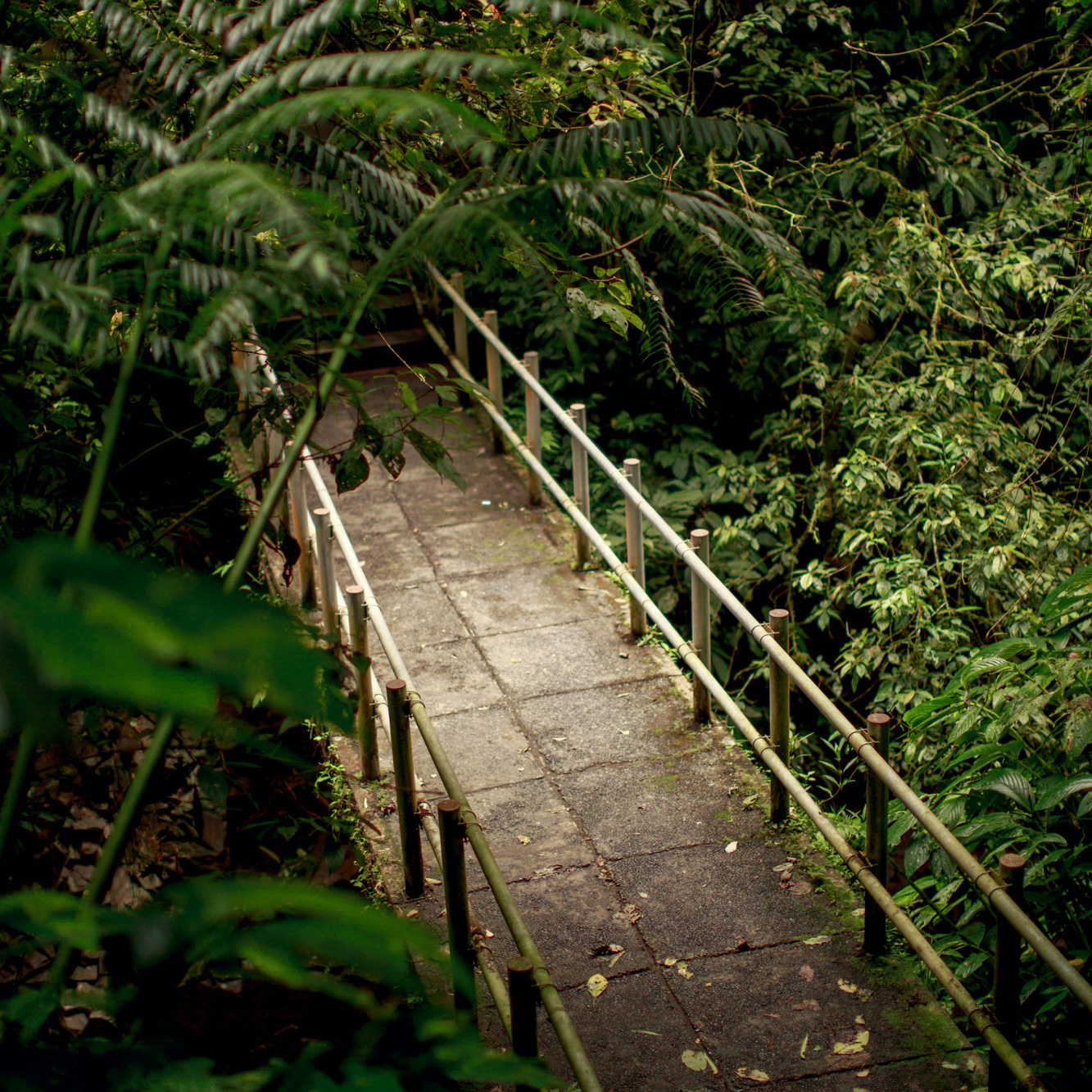 Bali - bazı fotoğraflar ve incelemeler içeren yerler
