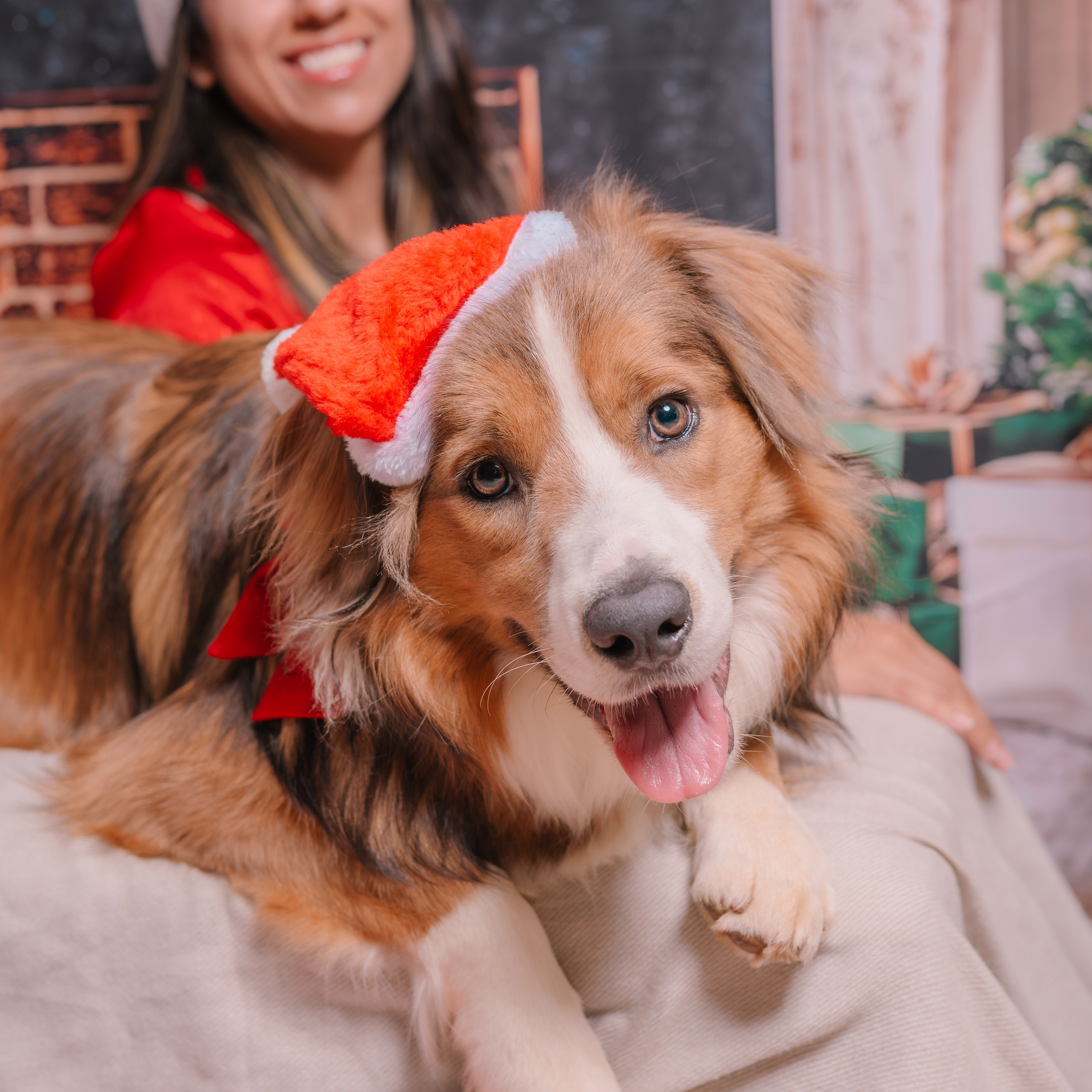 Photography Sessions 2026. JS Photoshoot | Family, Events & Pet Photographer in Brisbane